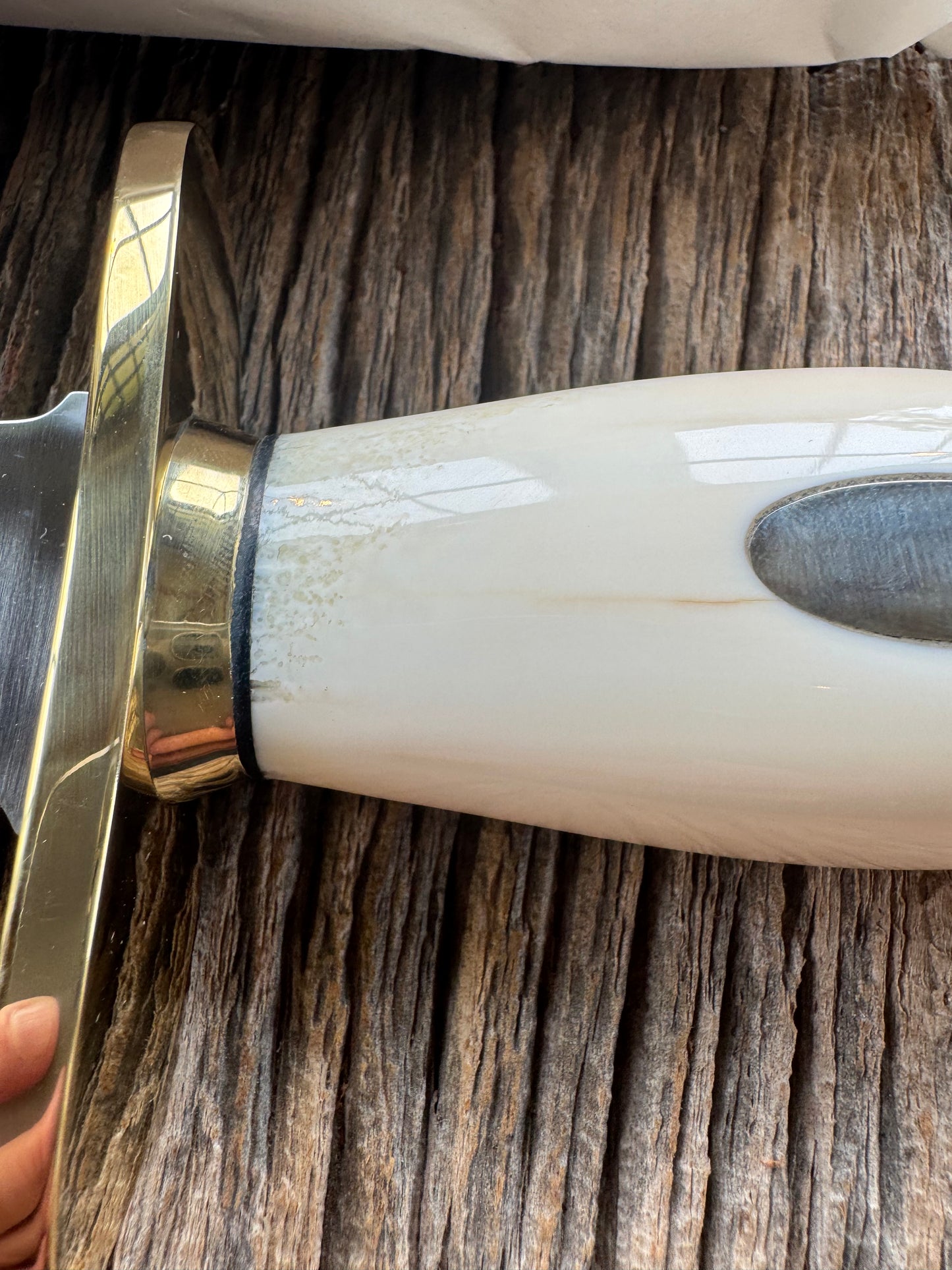 New in paper Randall Knife Model 12-8 Big Bear. Gorgeous piece of off white Fossil Walrus Ivory. Brass hilt, collar and butt cap, Stainless steel.