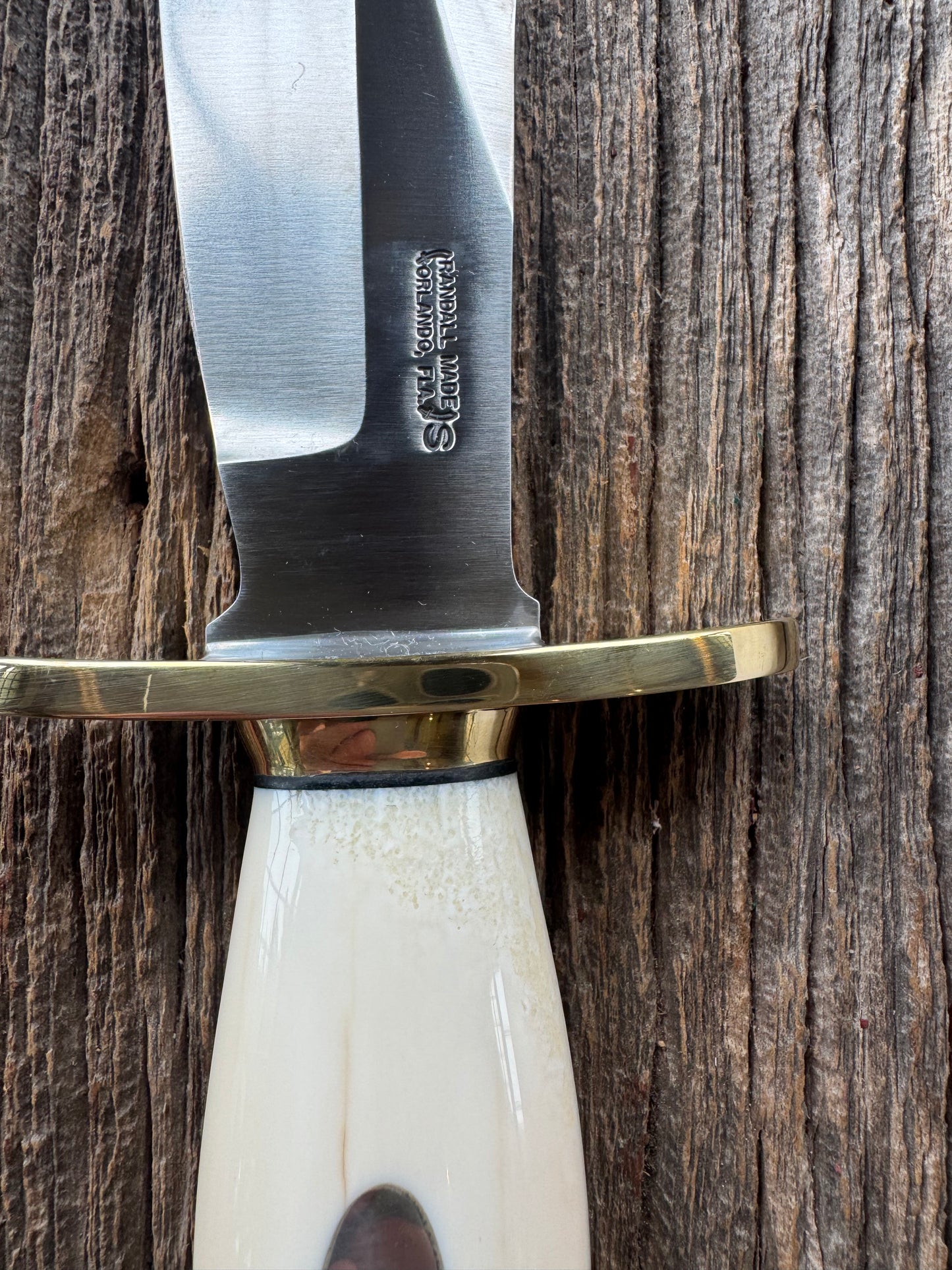 New in paper Randall Knife Model 12-8 Big Bear. Gorgeous piece of off white Fossil Walrus Ivory. Brass hilt, collar and butt cap, Stainless steel.