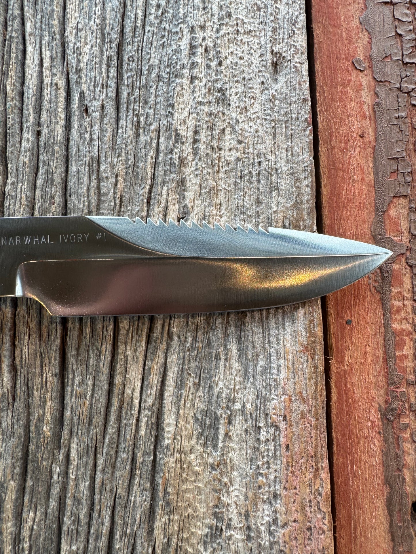 Rare Randall Model Combat Companion in Beautiful Spiraled Narwal, Nickel Silver Hilt and butt cap, black and silver spacers. SS Stunning and rare.