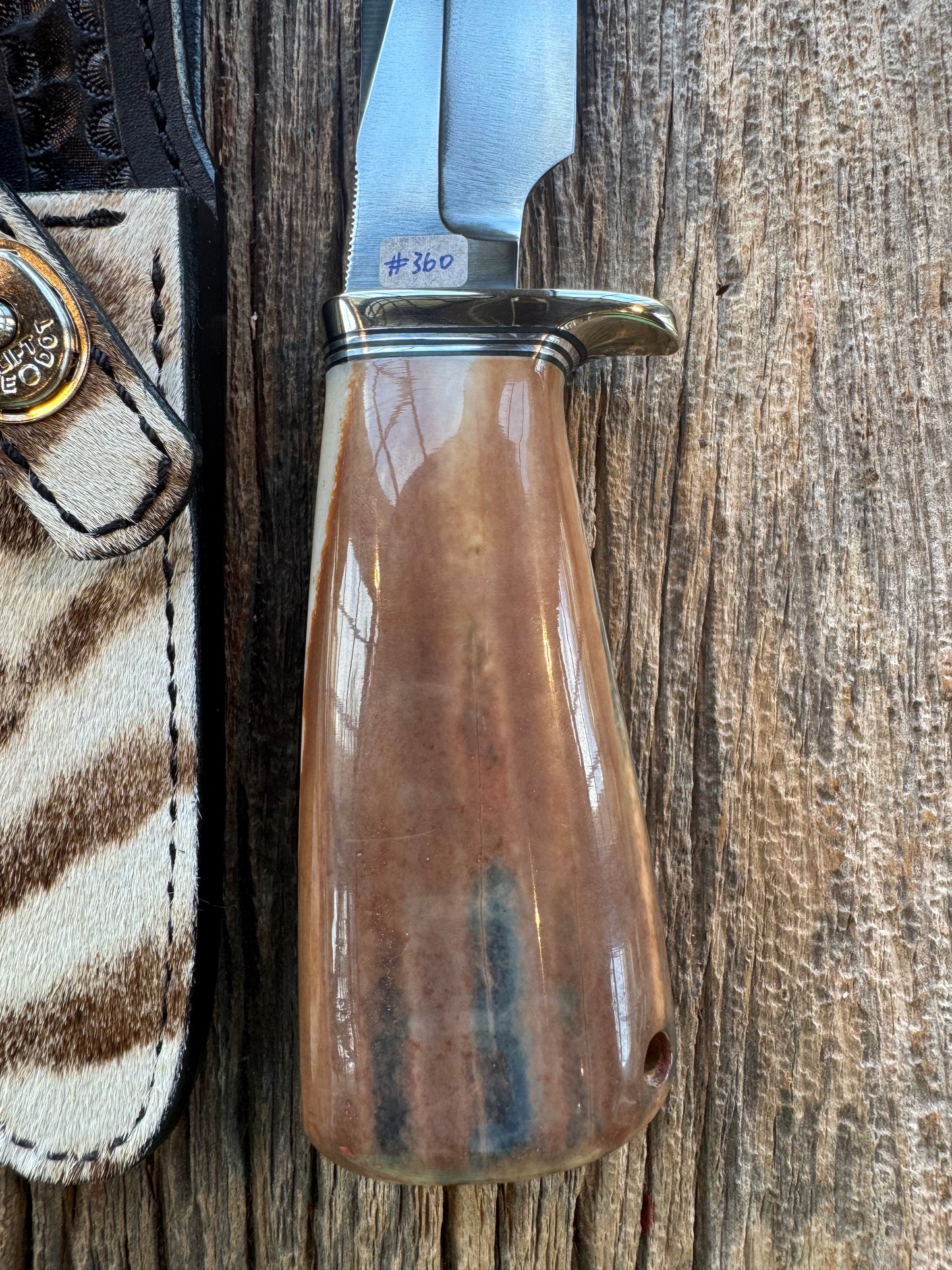 Randall Knife Model 23 Net Weight Artifact Fossil Walrus Handle. Stainless Steel, Natural end. Zebra Sheath.