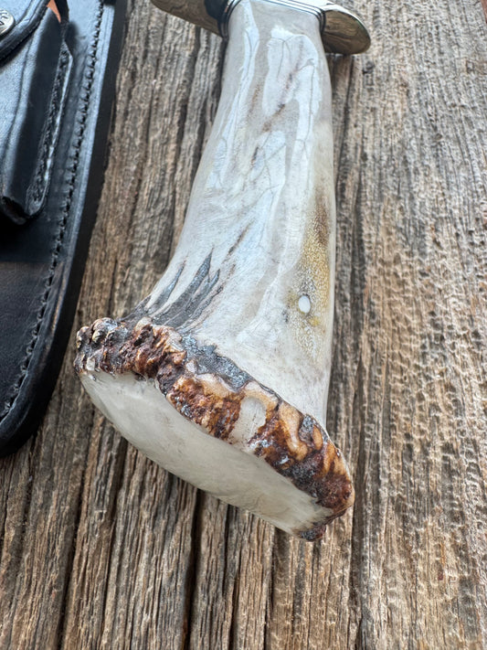 Randall Model 1-7 in a gorgeous piece of Polished Crown Stag. Nickel Silver Hilt, sawteeth and a natural exposed end, Stainless steel.