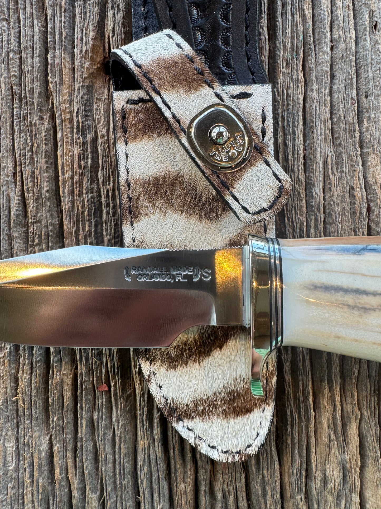 Randall Knife Model 23 Net Weight Artifact Fossil Walrus Handle. Stainless Steel, Natural end. Zebra Sheath.
