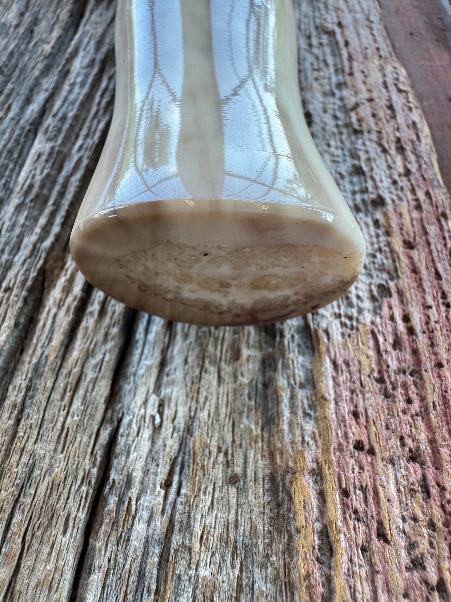 Nice Randall Knife Model 12-8 Big Bear. Gorgeous piece of creamy Fossil Walrus Ivory. ( Creams, greens) Nickel silver hilt and natural end, Stainless steel.