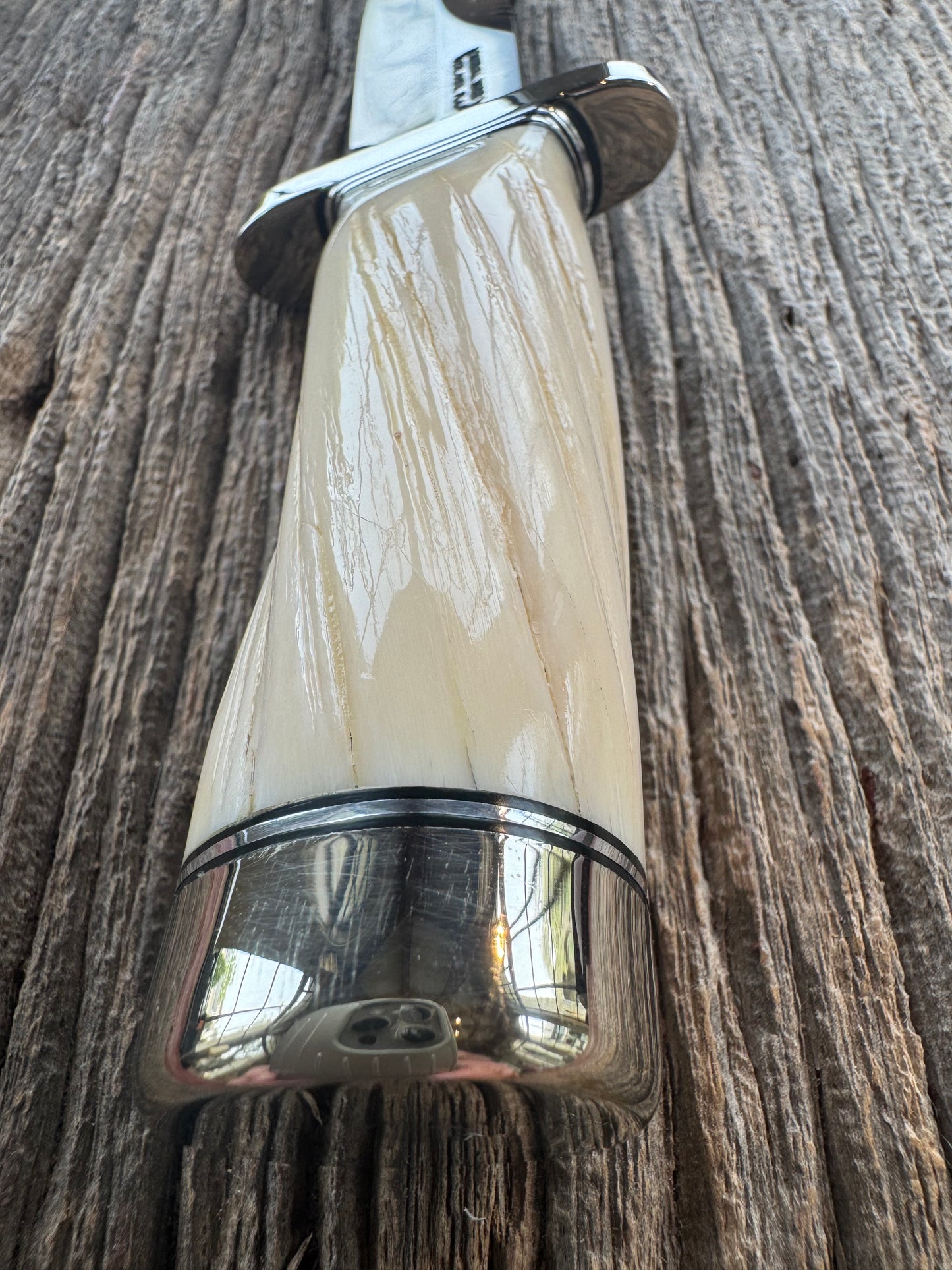 Rare Randall Model Combat Companion in Beautiful Spiraled Narwal, Nickel Silver Hilt and butt cap, black and silver spacers. SS Stunning and rare.