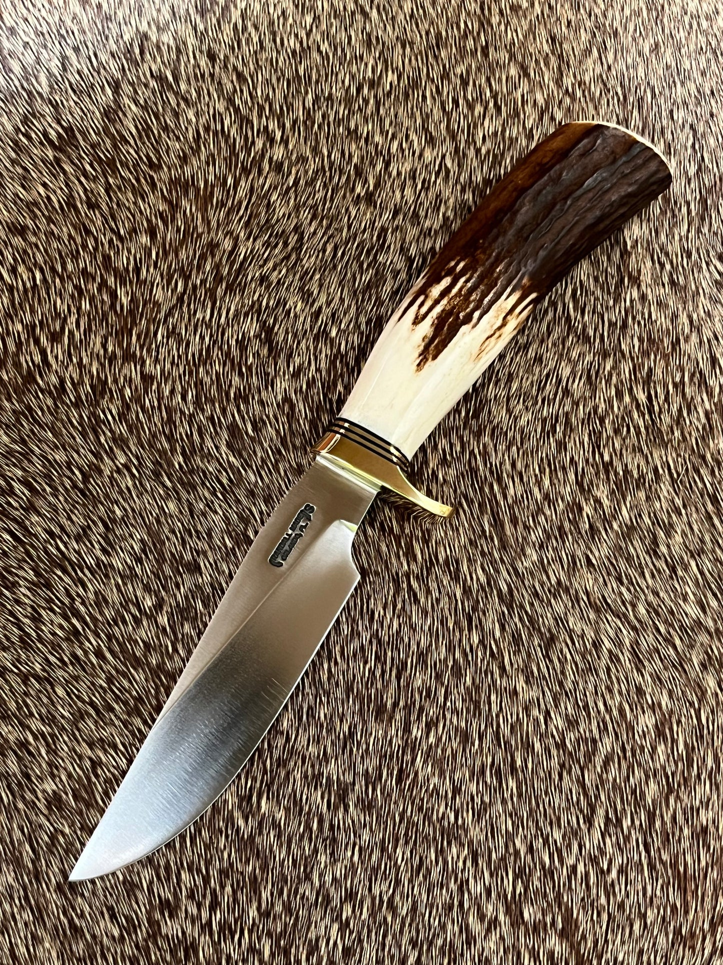 Denmark Special