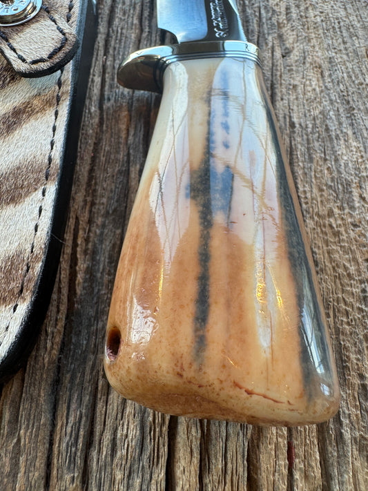 Randall Knife Model 23 Net Weight Artifact Fossil Walrus Handle. Stainless Steel, Natural end. Zebra Sheath.