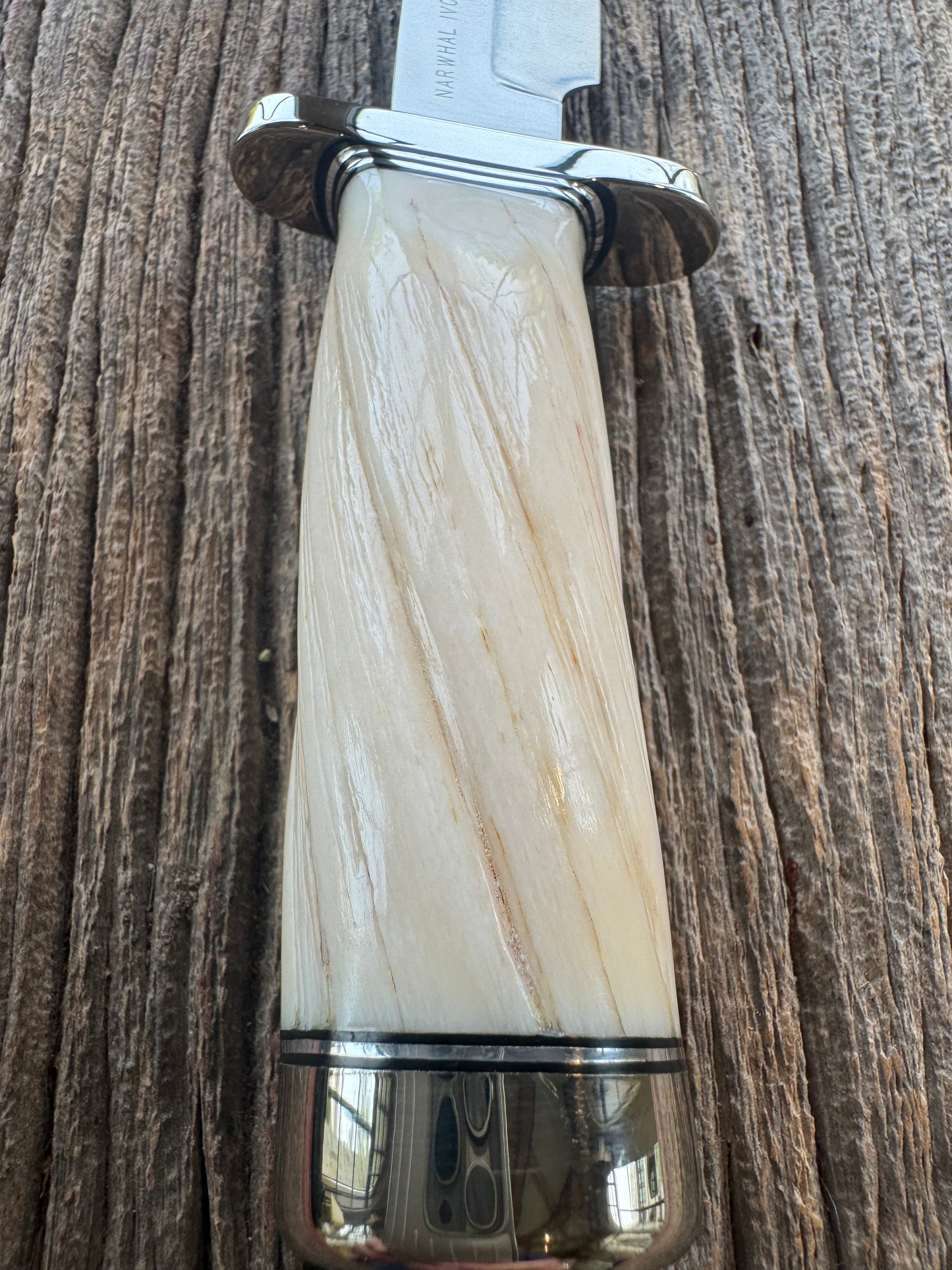 Rare Randall Model Combat Companion in Beautiful Spiraled Narwal, Nickel Silver Hilt and butt cap, black and silver spacers. SS Stunning and rare.