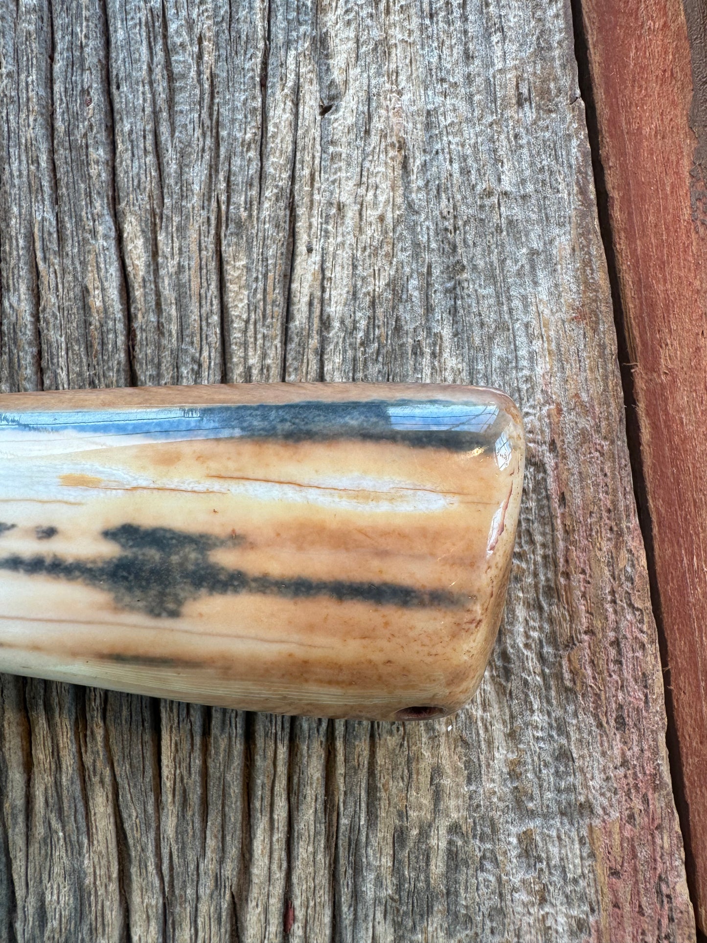Randall Knife Model 23 Net Weight Artifact Fossil Walrus Handle. Stainless Steel, Natural end. Zebra Sheath.