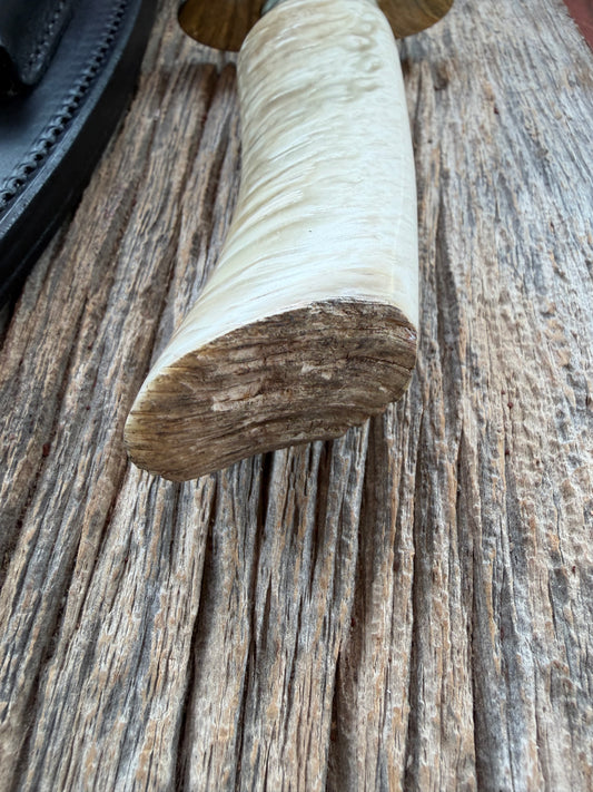 Randall Model 12-8 Small Sasquatch with a nice piece of Musk Ox. Nickel Silver collar and raw natural end.