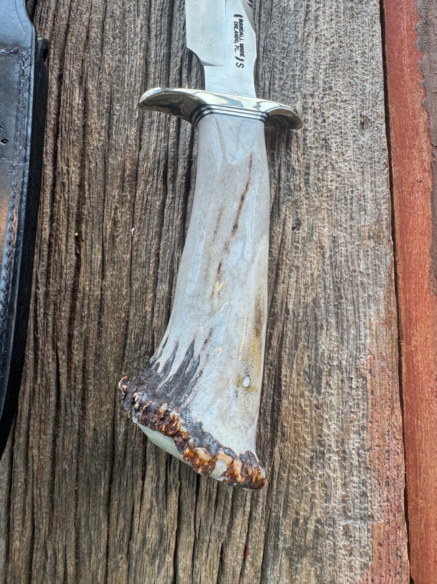 Randall Model 1-7 in a gorgeous piece of Polished Crown Stag. Nickel Silver Hilt, sawteeth and a natural exposed end, Stainless steel.