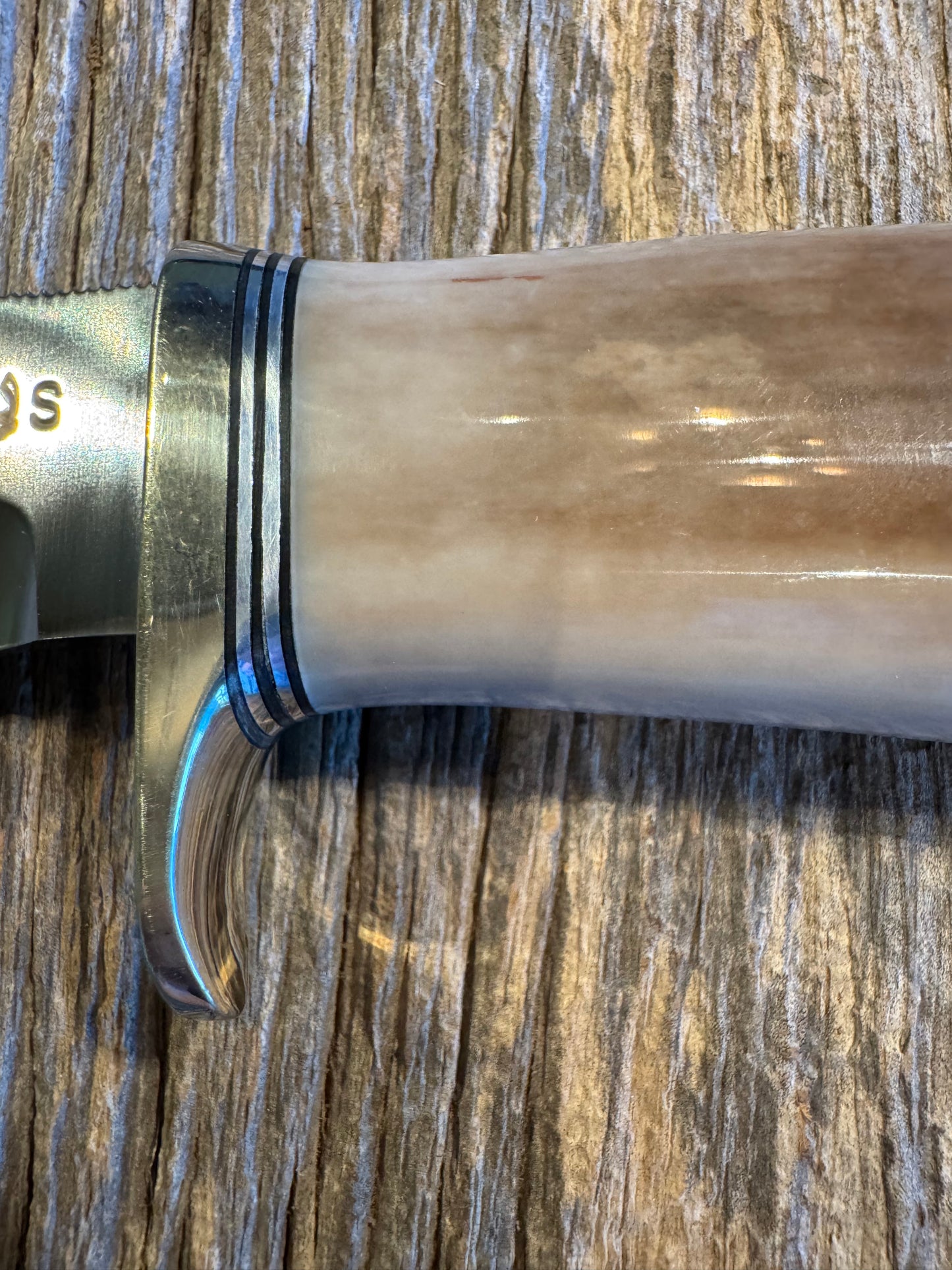 Randall Model 19-4 in Beautiful Fossil Walrus Ivory. Gorgeous colors and very rare to see a 19 in FWI. Nickel Silver Single Hilt and natural end, SS, and Flawless
