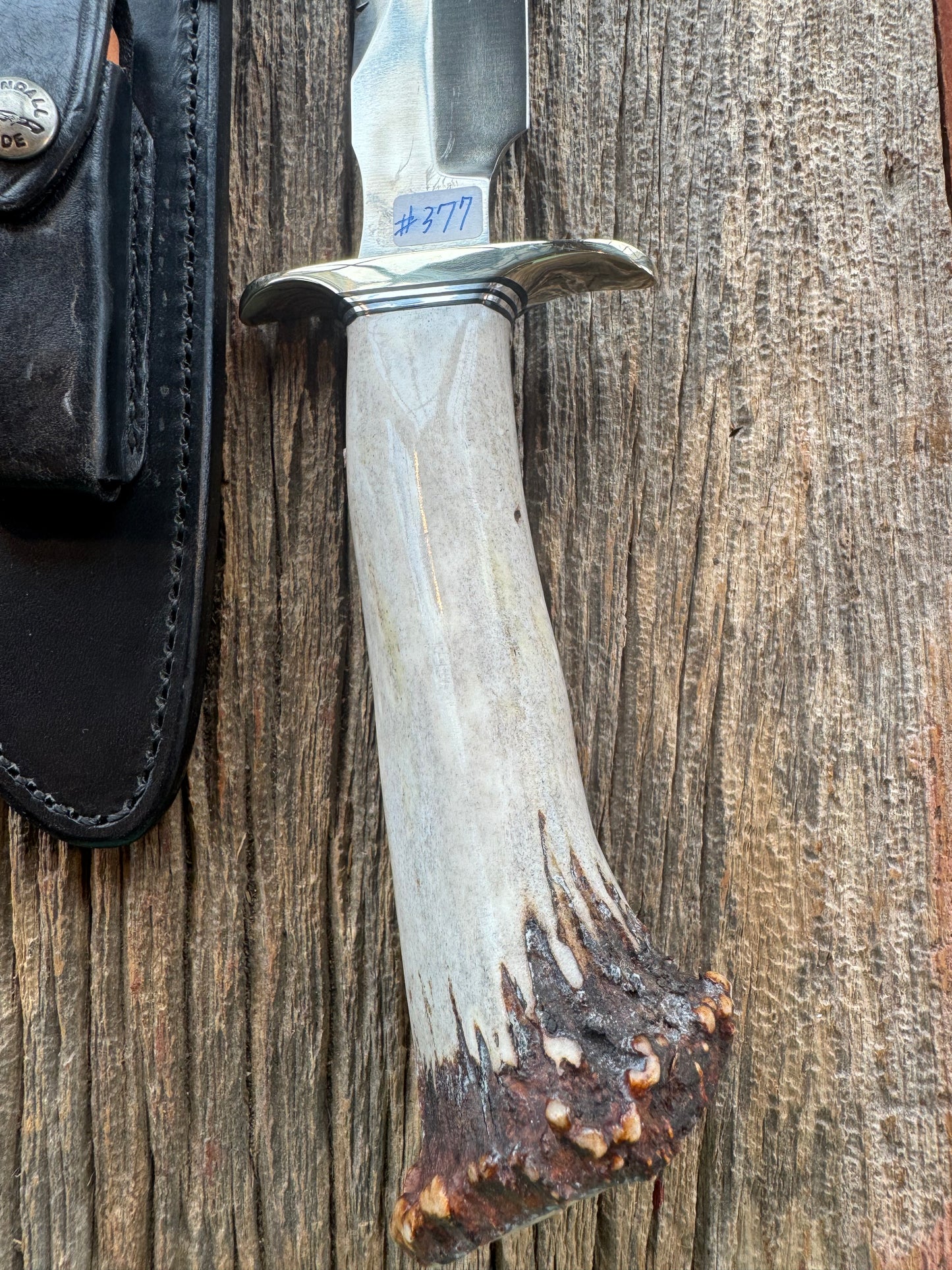 Randall Model 1-7 in a gorgeous piece of Polished Crown Stag. Nickel Silver Hilt, sawteeth and a natural exposed end, Stainless steel.