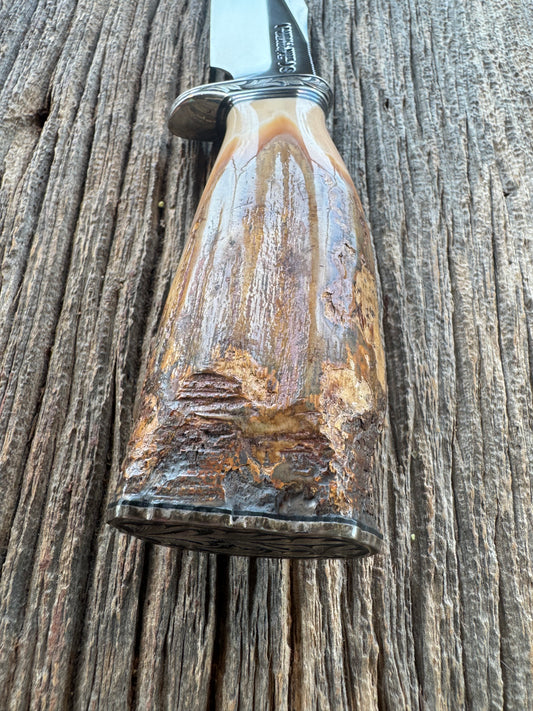 Randall Knife Model 23 Fossil Walrus Ivory Handle Artifact, Stainless Steel blade, Full Sterling Silver hilt, spacers and Butt cap. Exotic Beaver Sheath.Full head to toe engraved.
