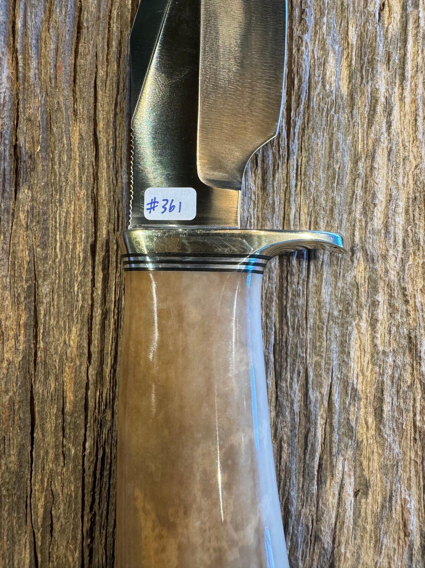 Randall Model 19-4 in Beautiful Fossil Walrus Ivory. Gorgeous colors and very rare to see a 19 in FWI. Nickel Silver Single Hilt and natural end, SS, and Flawless