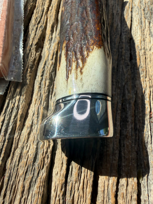 New in Paper Randall Knife Model #8-4 Old Style Trout And Bird Stag Handle, Stainless steel. Aluminum Crows Beak butt cap.