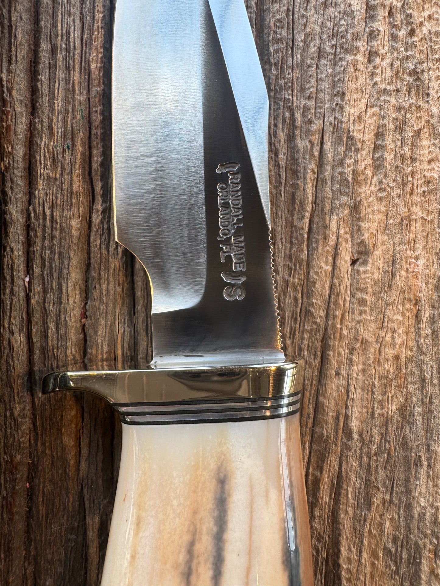 Randall Knife Model 23 Net Weight Artifact Fossil Walrus Handle. Stainless Steel, Natural end. Zebra Sheath.
