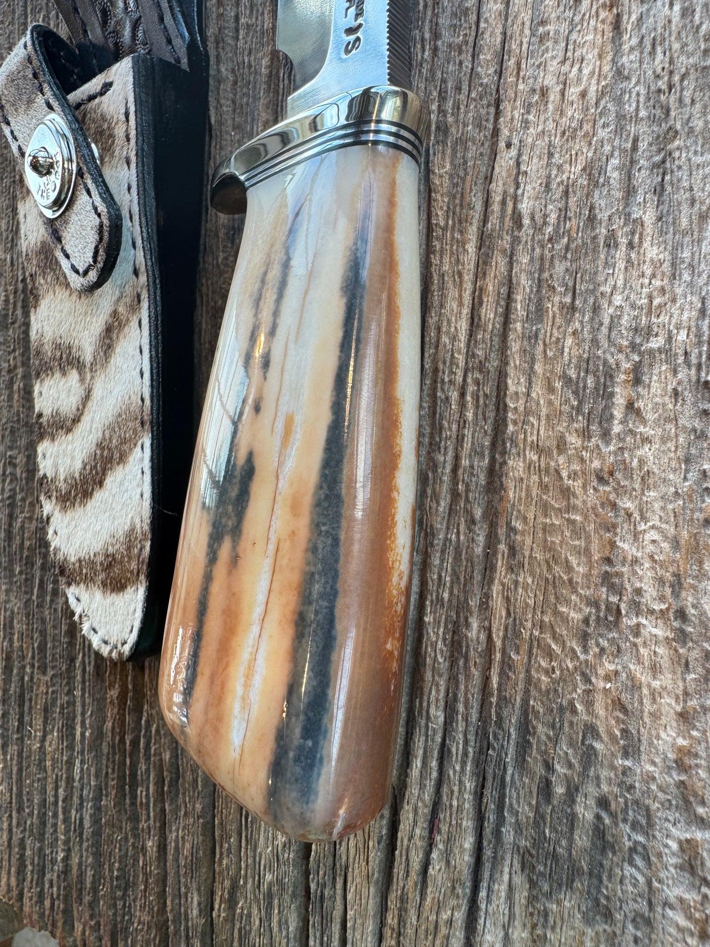 Randall Knife Model 23 Net Weight Artifact Fossil Walrus Handle. Stainless Steel, Natural end. Zebra Sheath.