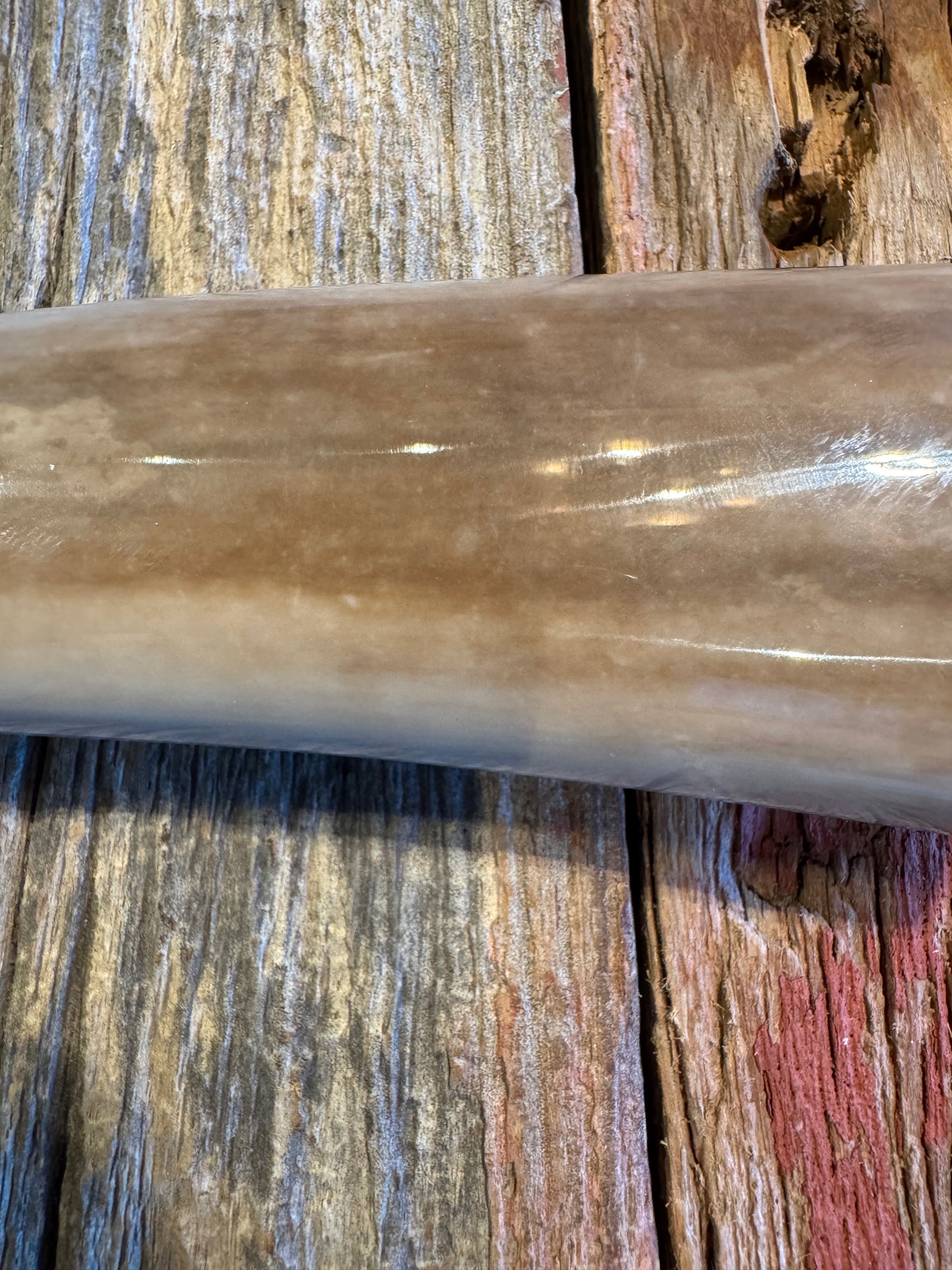 Randall Model 19-4 in Beautiful Fossil Walrus Ivory. Gorgeous colors and very rare to see a 19 in FWI. Nickel Silver Single Hilt and natural end, SS, and Flawless