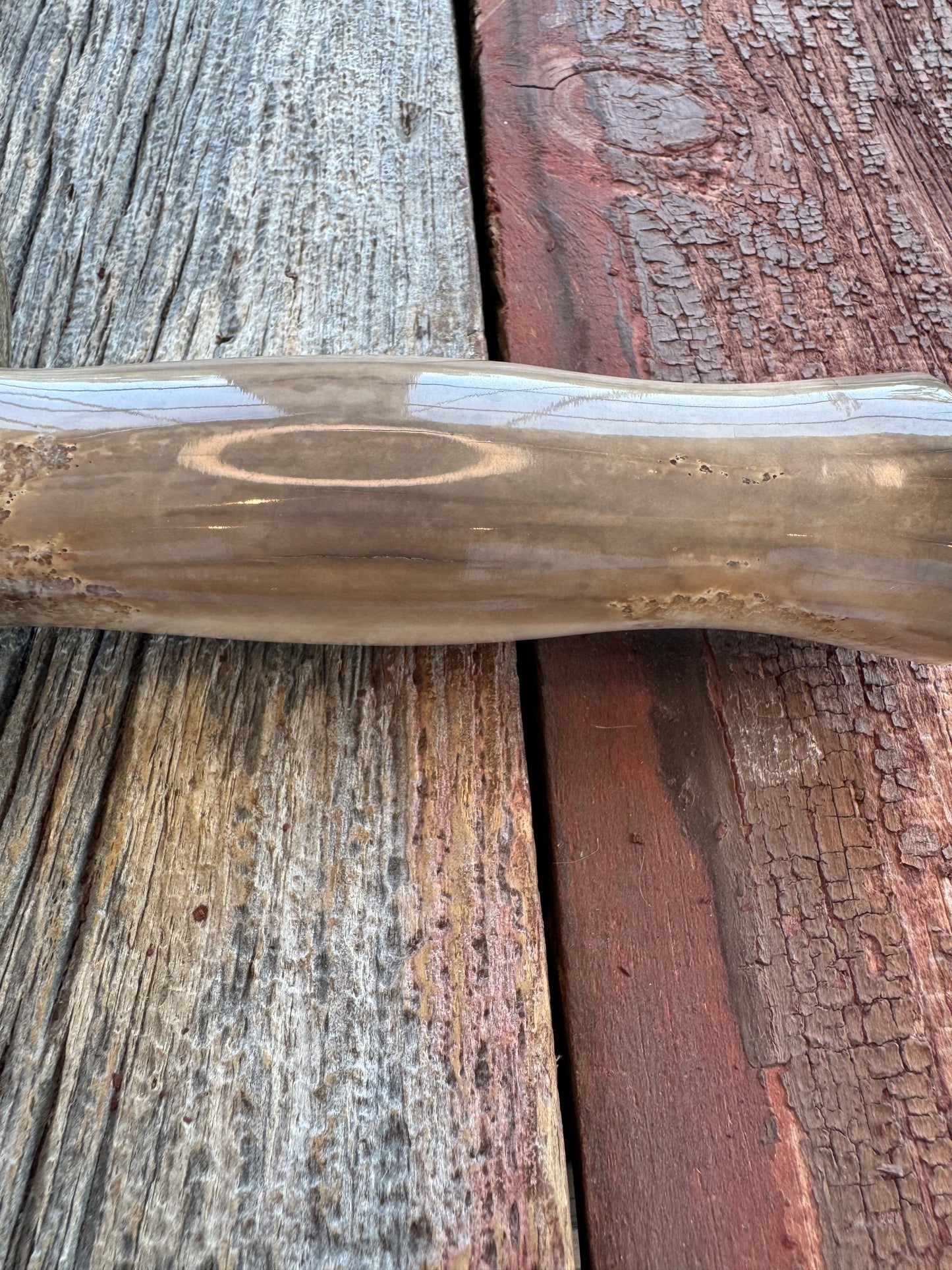 Nice Randall Knife Model 12-8 Big Bear. Gorgeous piece of creamy Fossil Walrus Ivory. ( Creams, greens) Nickel silver hilt and natural end, Stainless steel.