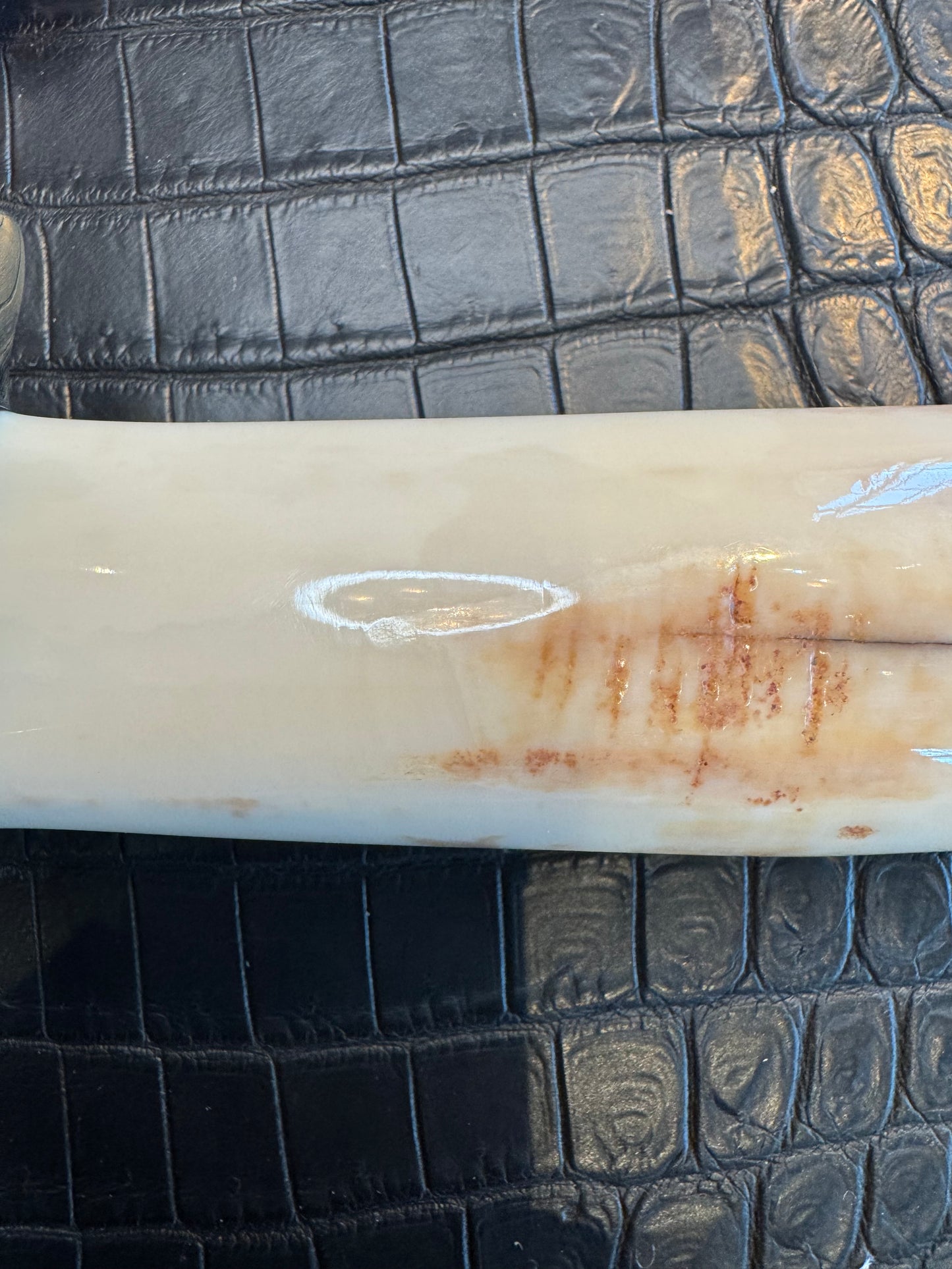 Randall Model 1-7 in a gorgeous beefy piece of Creamy Fossil Walrus Ivory. Nickel Silver Hilt and butt cap.