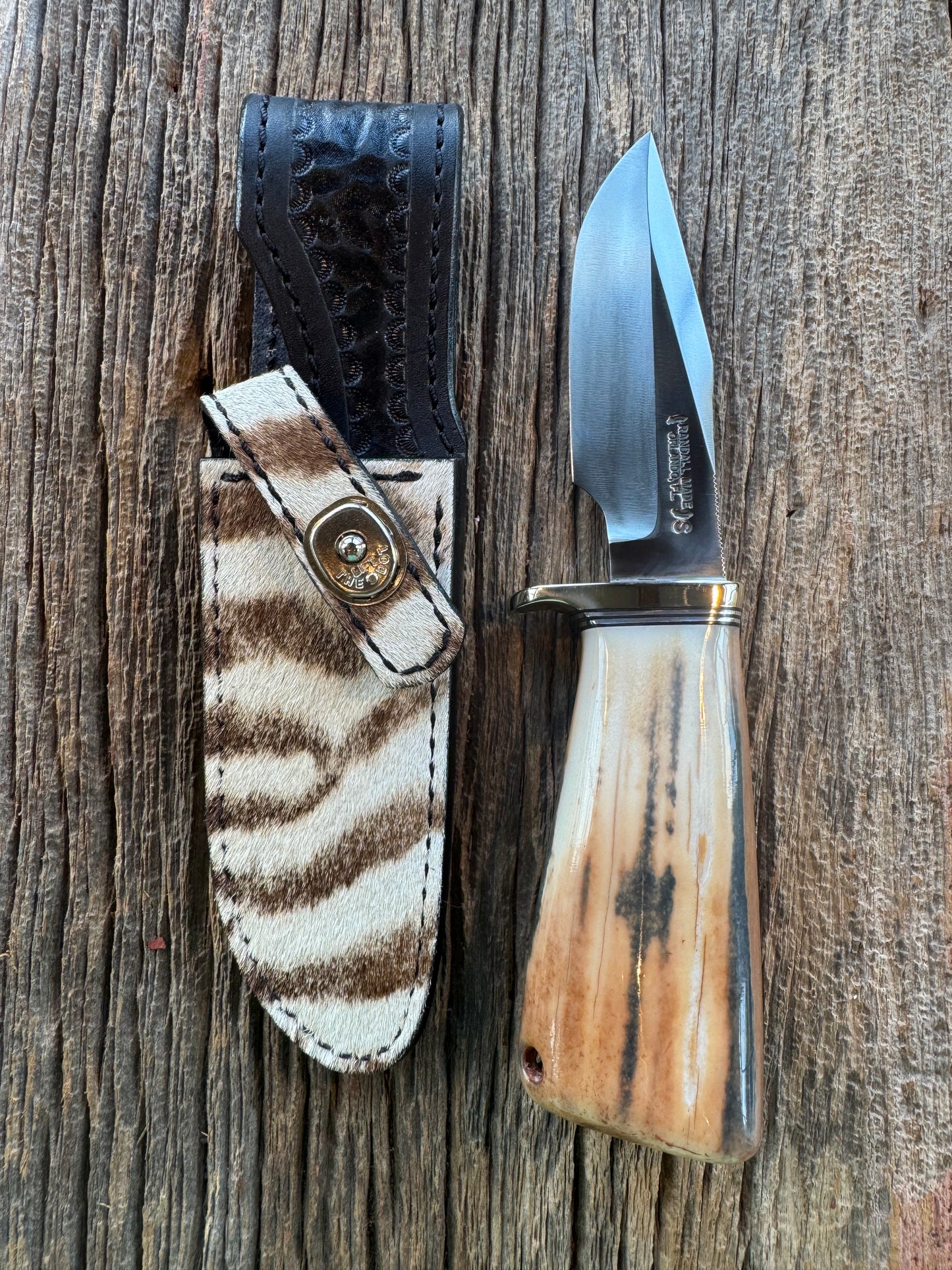 Randall Knife Model 23 Net Weight Artifact Fossil Walrus Handle. Stainless Steel, Natural end. Zebra Sheath.