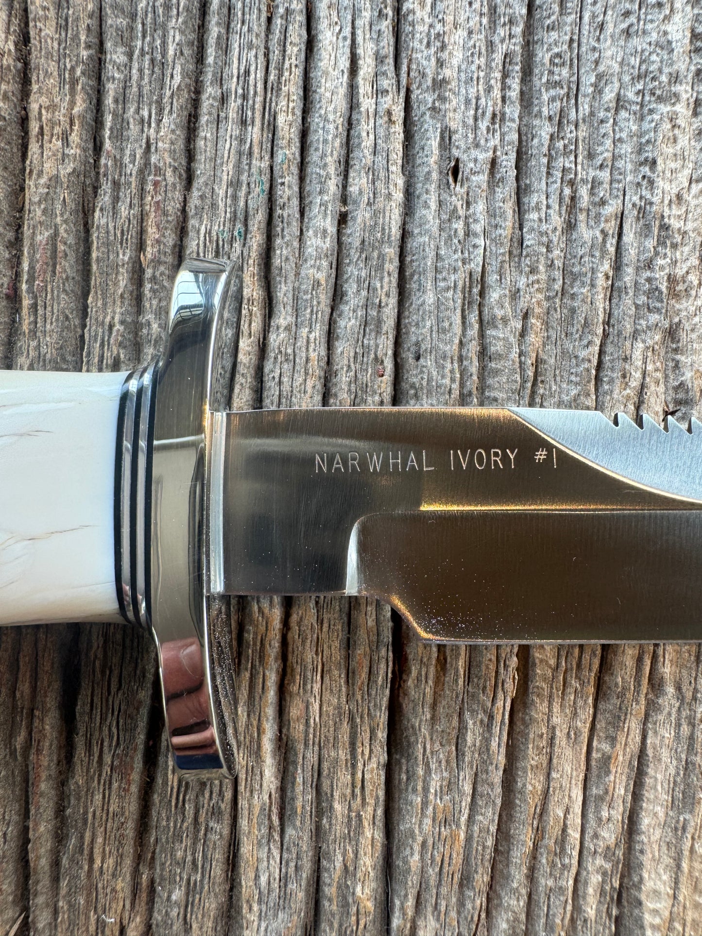 Rare Randall Model Combat Companion in Beautiful Spiraled Narwal, Nickel Silver Hilt and butt cap, black and silver spacers. SS Stunning and rare.