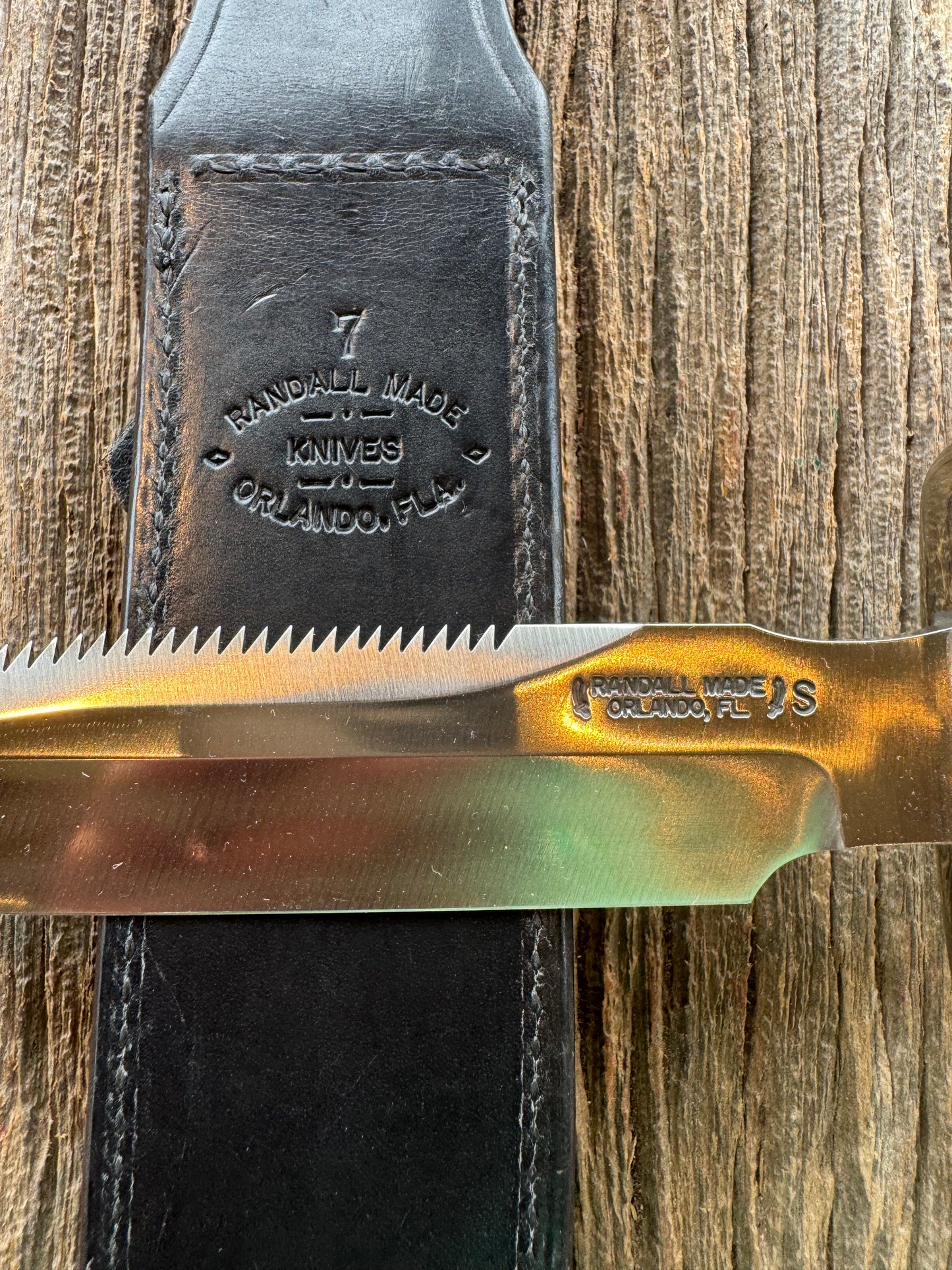 Randall Model 1-7 in a gorgeous piece of Polished Crown Stag. Nickel Silver Hilt, sawteeth and a natural exposed end, Stainless steel.