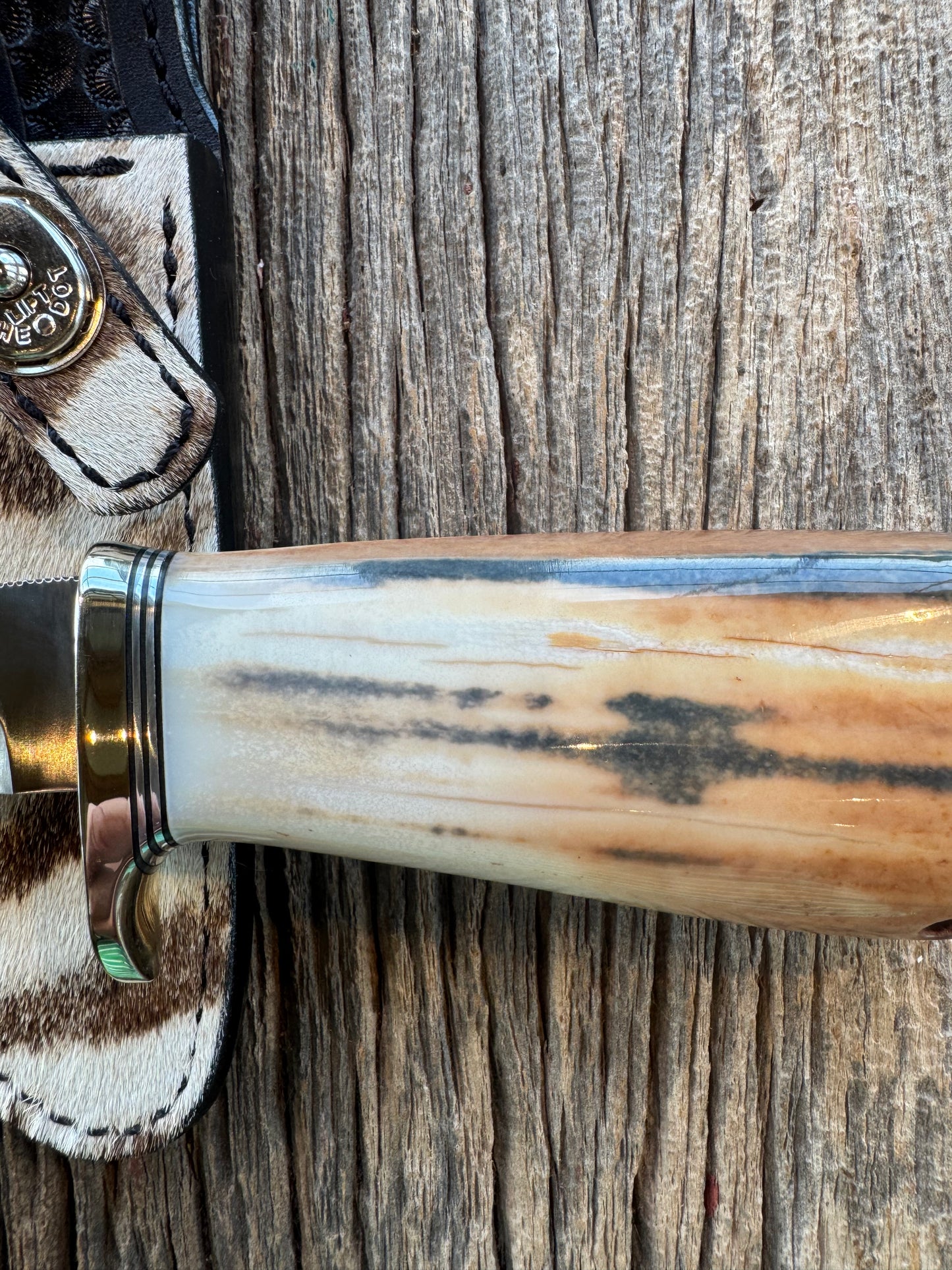 Randall Knife Model 23 Net Weight Artifact Fossil Walrus Handle. Stainless Steel, Natural end. Zebra Sheath.