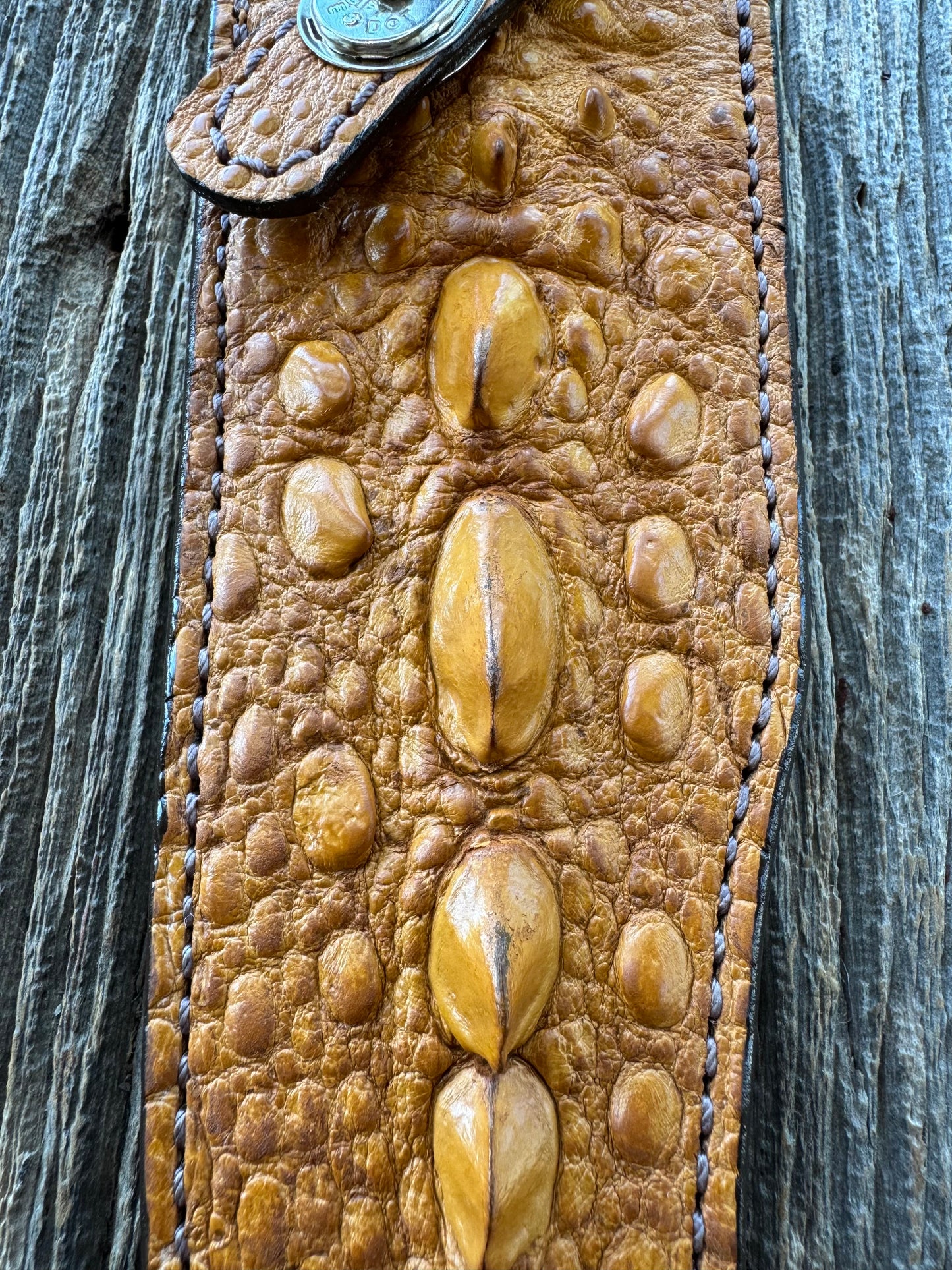Randall Model 12-8 “Big Bear” Sheath in Exotic Arizona Tan Snapping Turtle by Treeman. Spiked Dragon tail portion of the turtle.