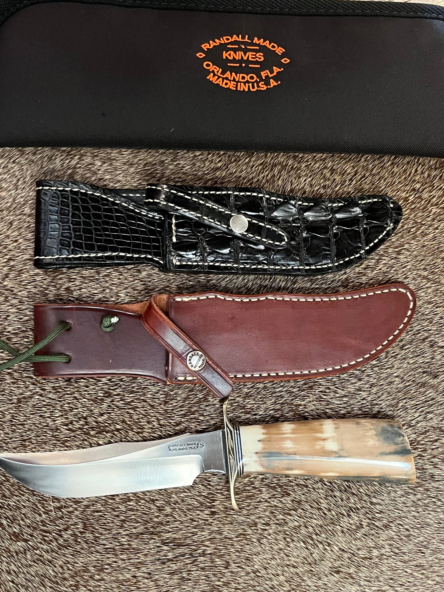 Model 4-6” Fighter Fossil Walrus Engraved by Master Engraver Jere Davidson with Gold Inlay