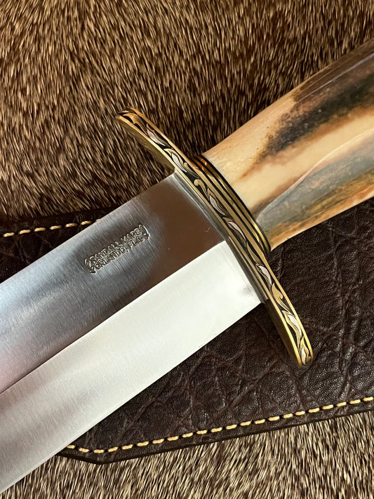 12-11 Smithsonian Fossil Walrus with Great Color