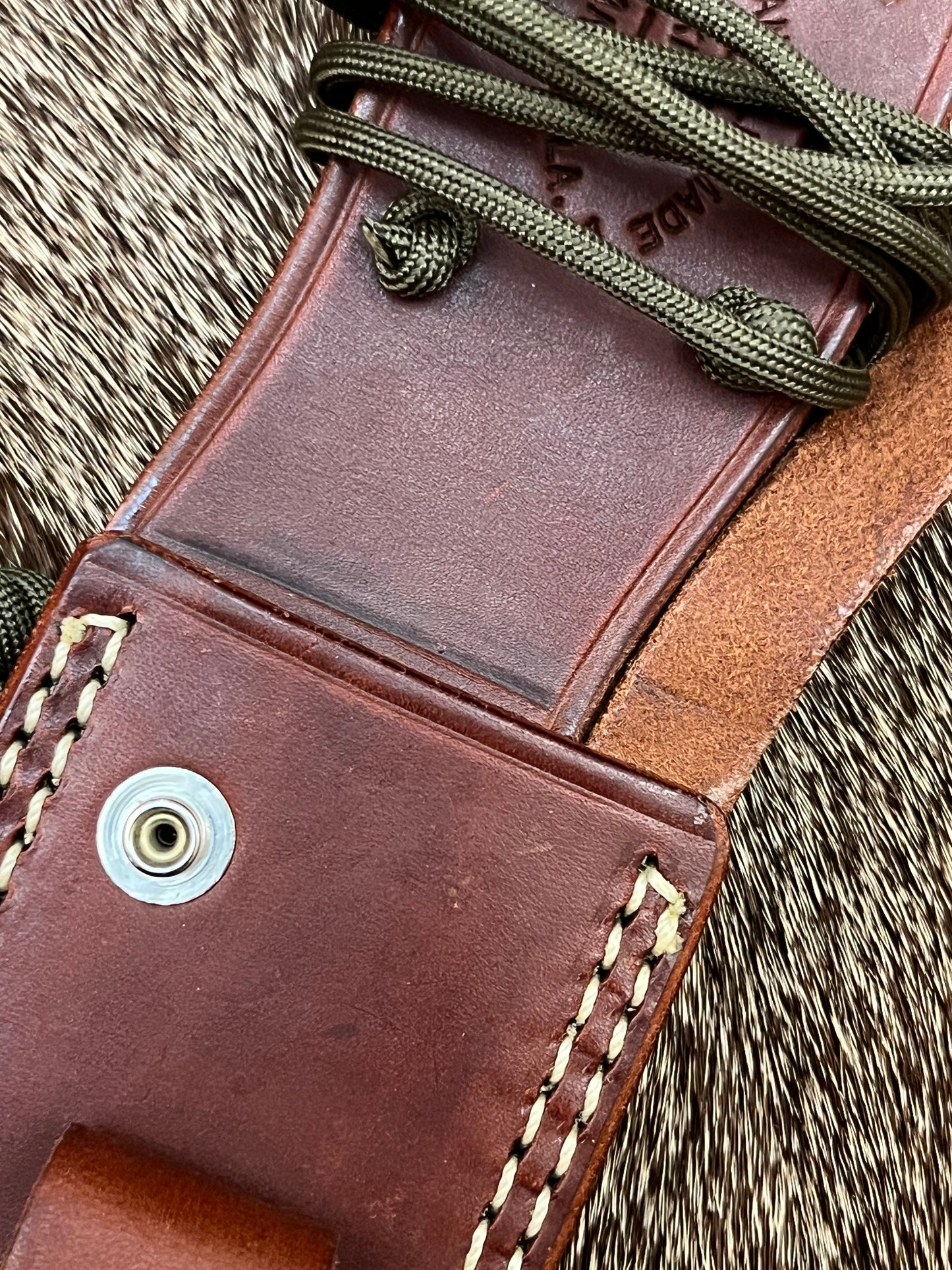 Model 18-Attack Survival