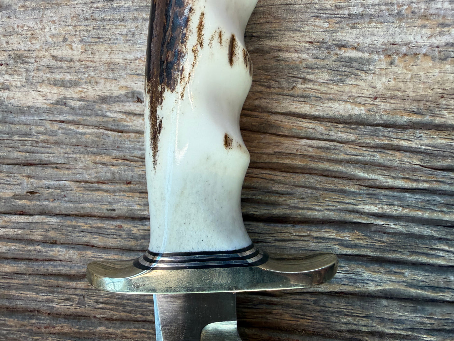 New Randall Knife Model 4-7 in a Stag Finger groves Handle Stainless Blade, NSH