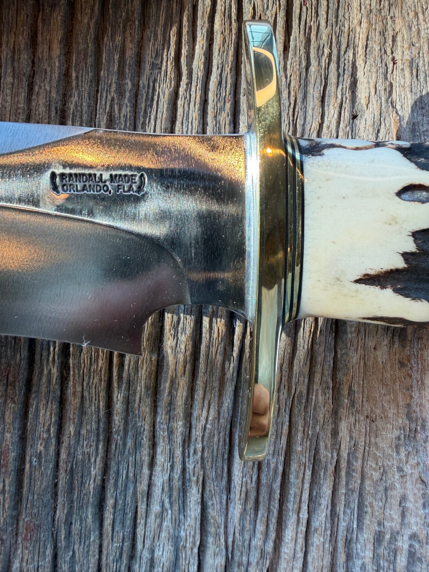 New in Paper Randall Model 12-11 Dealer Special Large Sasquatch with a Huge piece of Popcorn Stag, # 1114 Brass Hilt and butt cap.