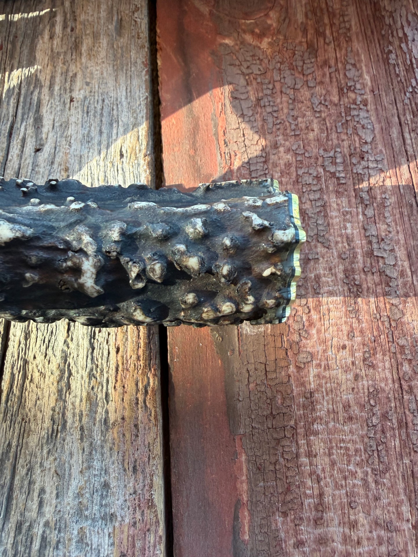 New in Paper Randall Model 12-11 Dealer Special Large Sasquatch with a Huge piece of Popcorn Stag, # 1114 Brass Hilt and butt cap.