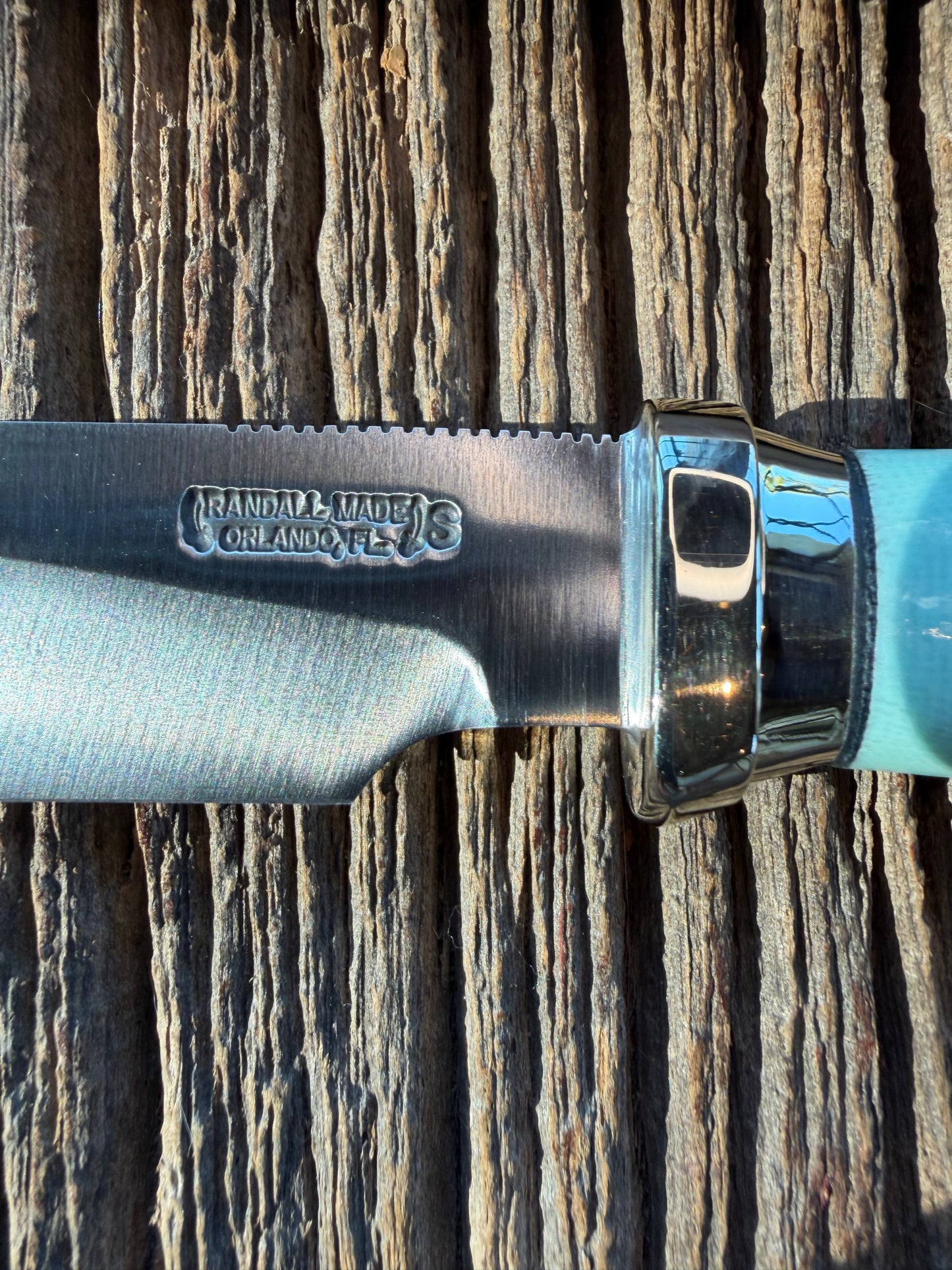 New in Paper Randall Non Catalog Model  Cattleman. G 10 Tiffany handle. Nickel Silver collar, Stainless blade.