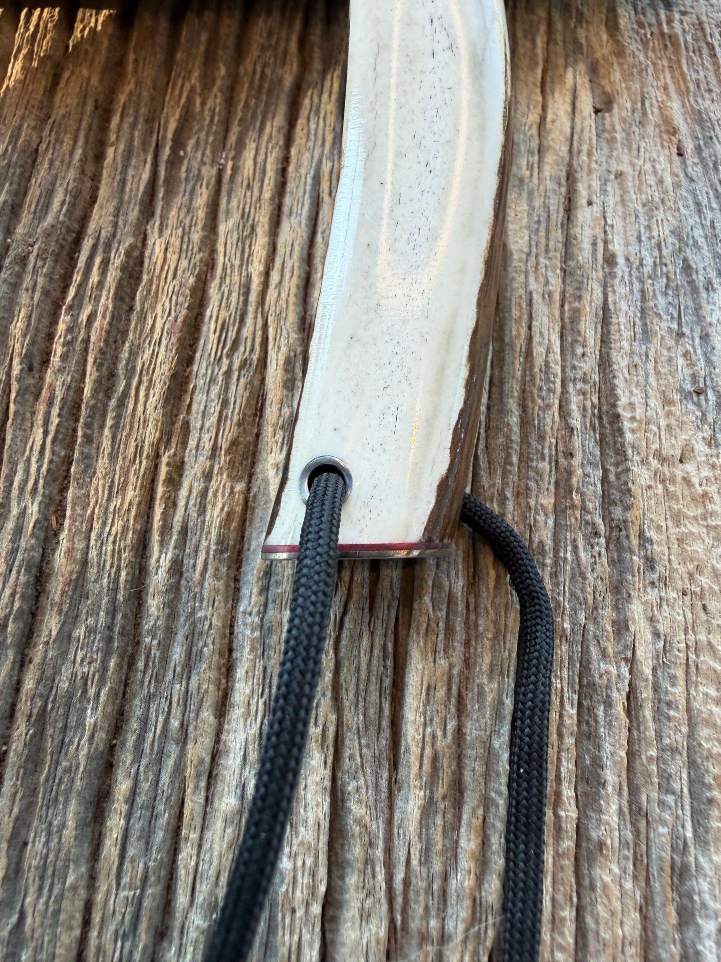 New in Paper Randall Non Catalog Model  Cattleman. Slab side Stag handle. Red and silver spacers. Stainless blade.