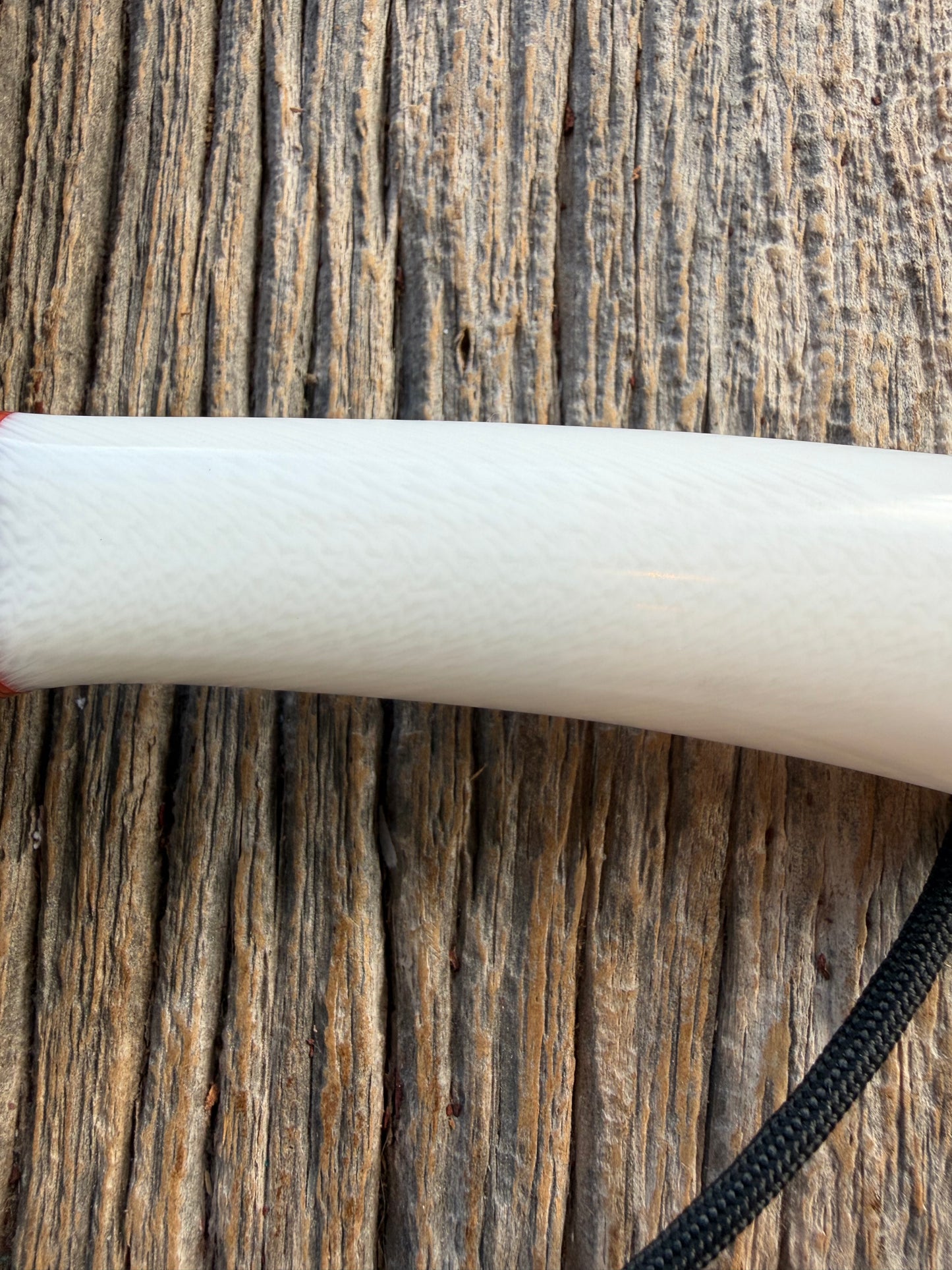 New in Paper Randall Non Catalog Model  Cattleman. White Ivorite handle. Red and silver spacers. Stainless blade.