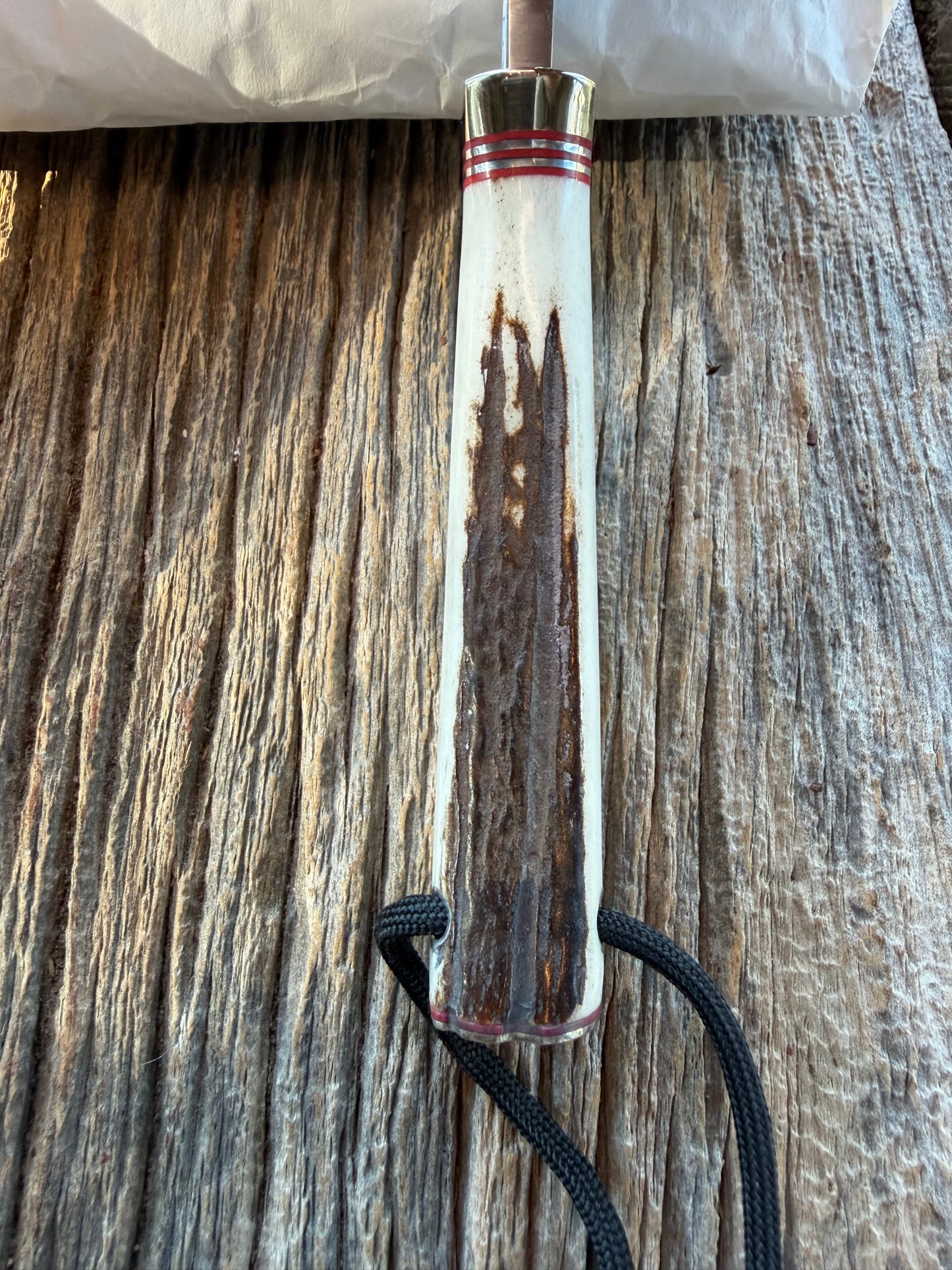 New in Paper Randall Non Catalog Model  Cattleman. Slab side Stag handle. Red and silver spacers. Stainless blade.