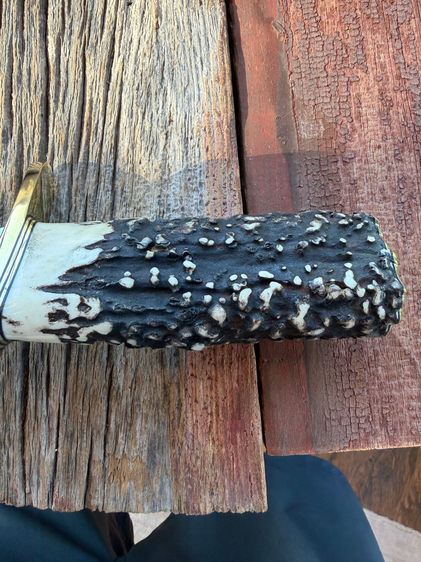 New in Paper Randall Model 12-11 Dealer Special Large Sasquatch with a Huge piece of Popcorn Stag, # 1114 Brass Hilt and butt cap.