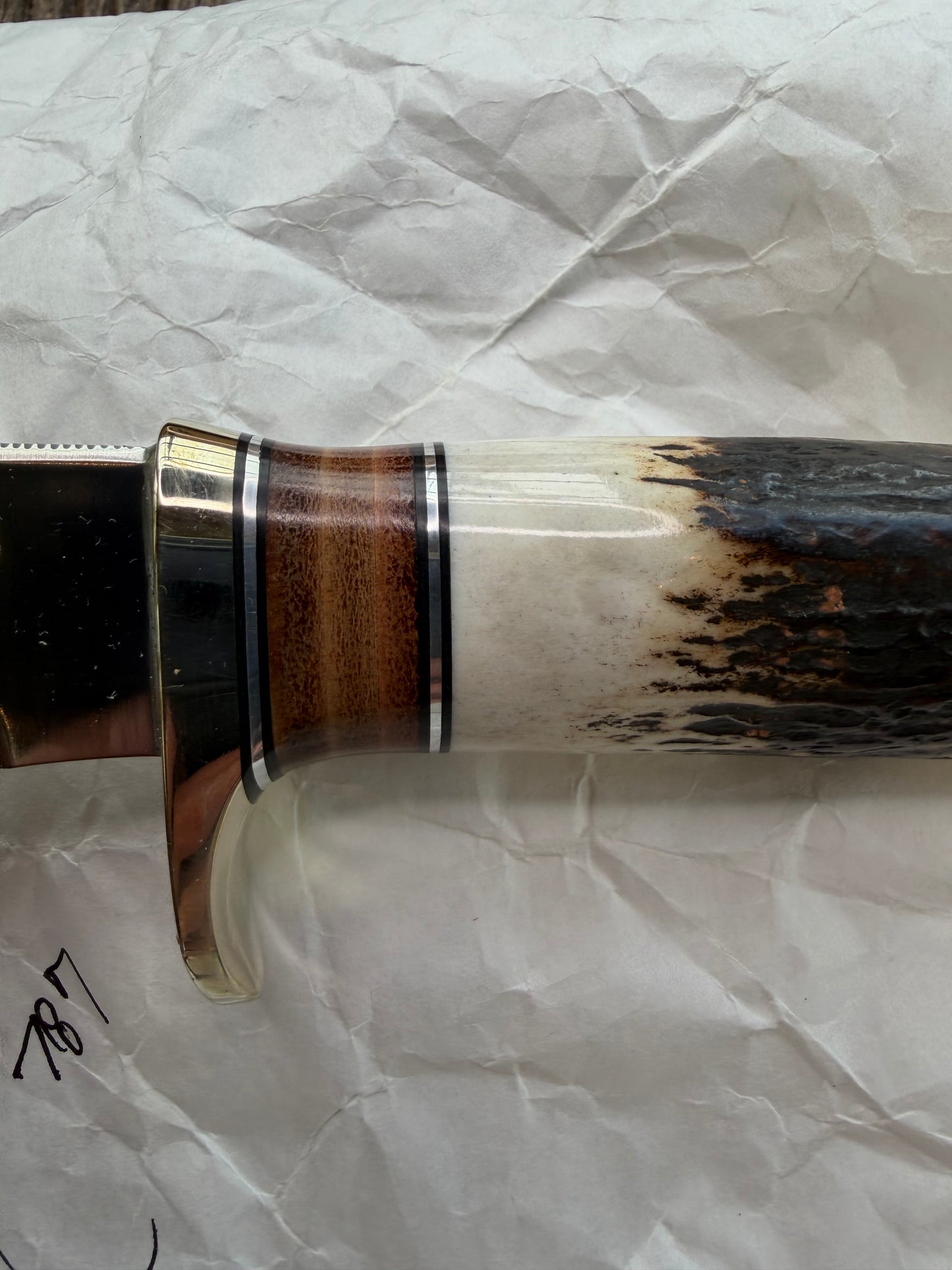 New in paper Randall Knife Model 25-5 Trapper in Stag Leather Handle Stainless Blade, NSH Hilt
