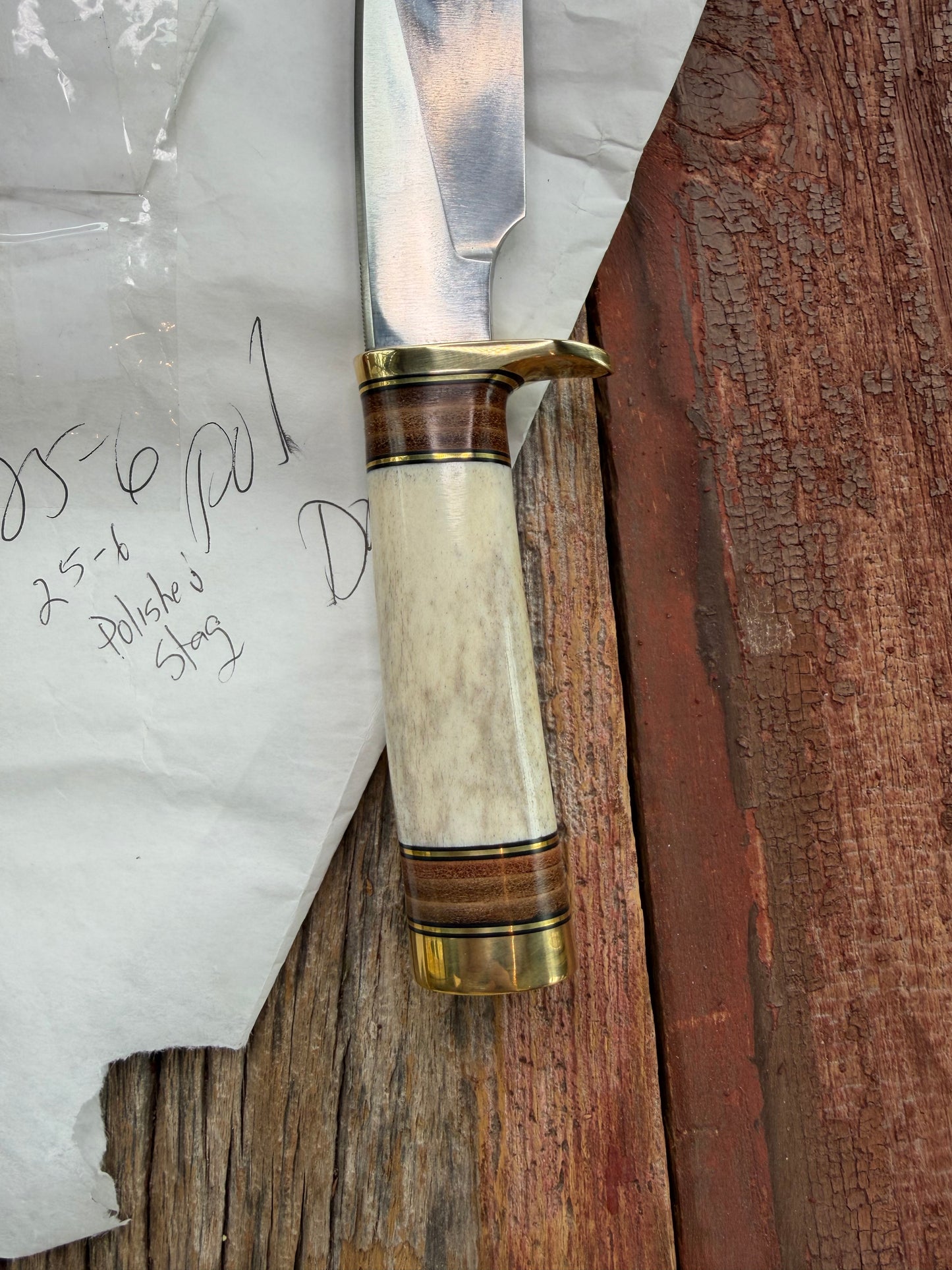 New in paper Randall Knife Model 25-6 Trapper in Polished Stag Leather Handle Stainless Blade, brass Hilt