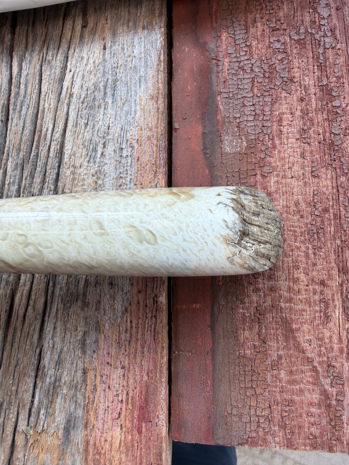 New in Butchers paper Randall Model 12-9/14 Grind with a Huge piece of Musk Ox. Nickel Silver Hilt and raw natural end.