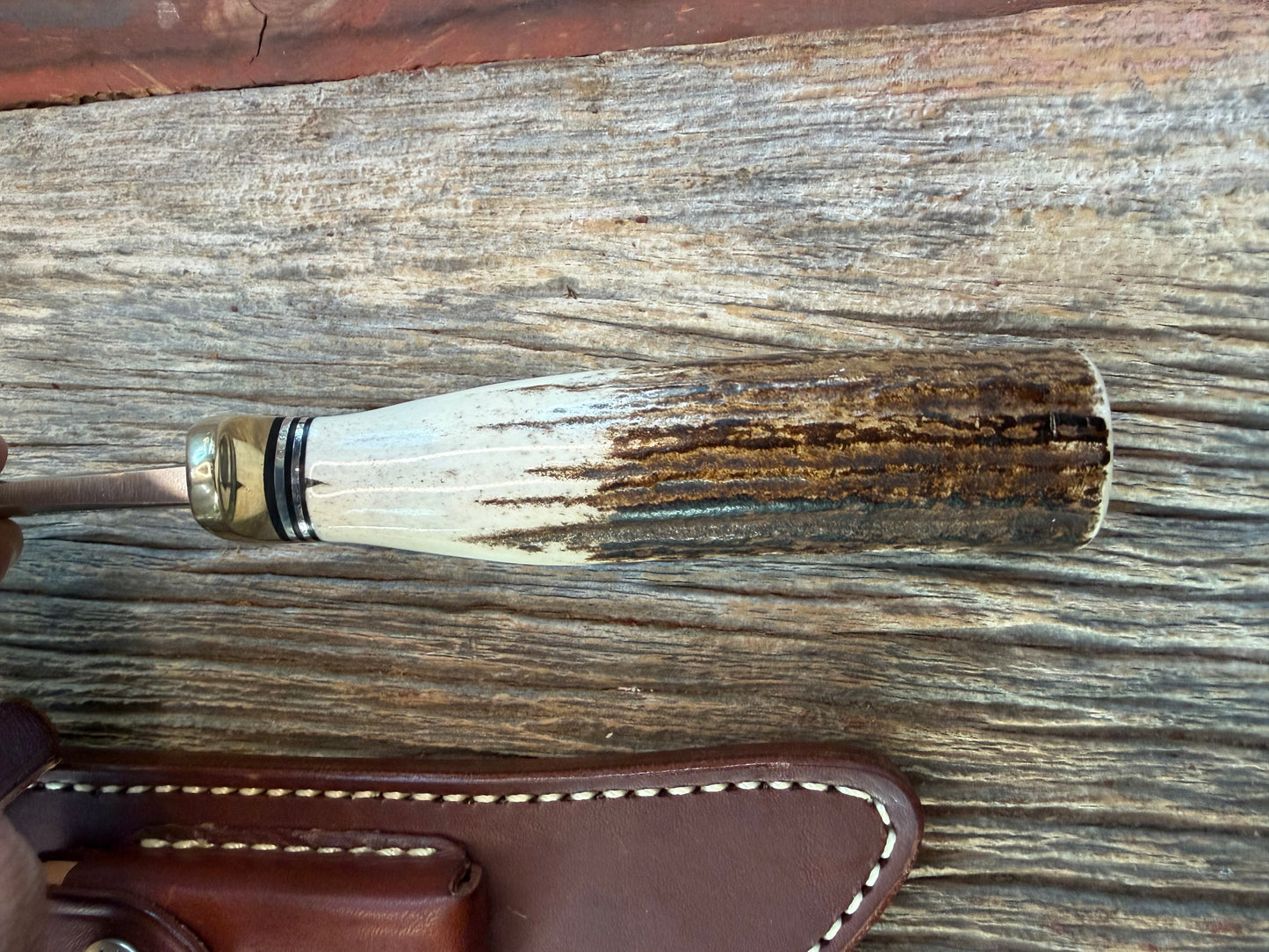New Randall Knife Model 4-7 in a Stag Finger groves Handle Stainless Blade, NSH
