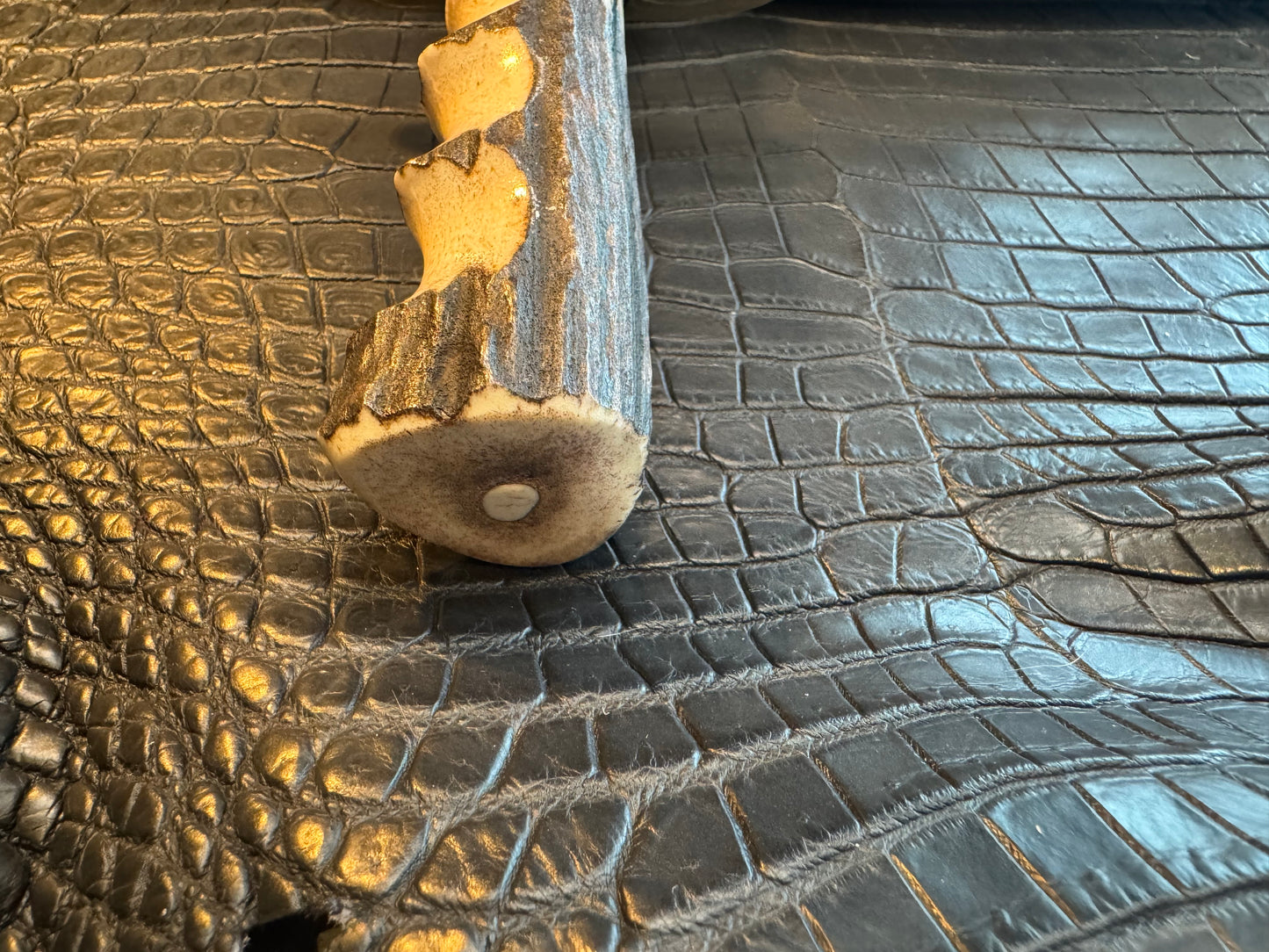 Randall Clinton Special Knife Stag Handle New in Paper