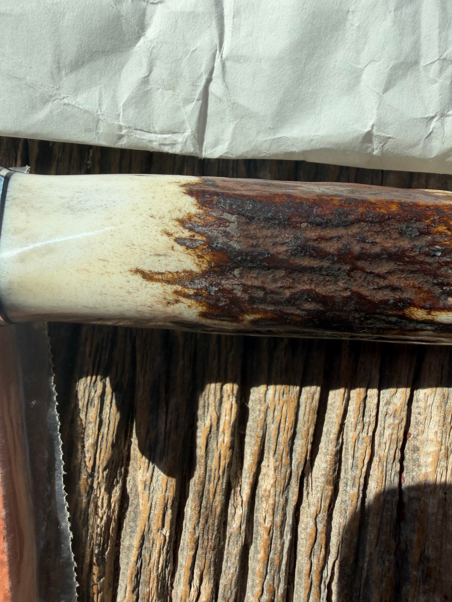 New in Paper Randall Knife Model #8-4 Old Style Trout And Bird Stag Handle, Stainless steel. Aluminum Crows Beak butt cap.