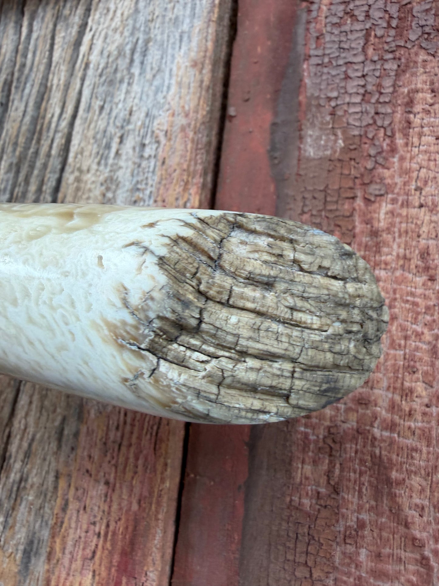 New in Butchers paper Randall Model 12-9/14 Grind with a Huge piece of Musk Ox. Nickel Silver Hilt and raw natural end.
