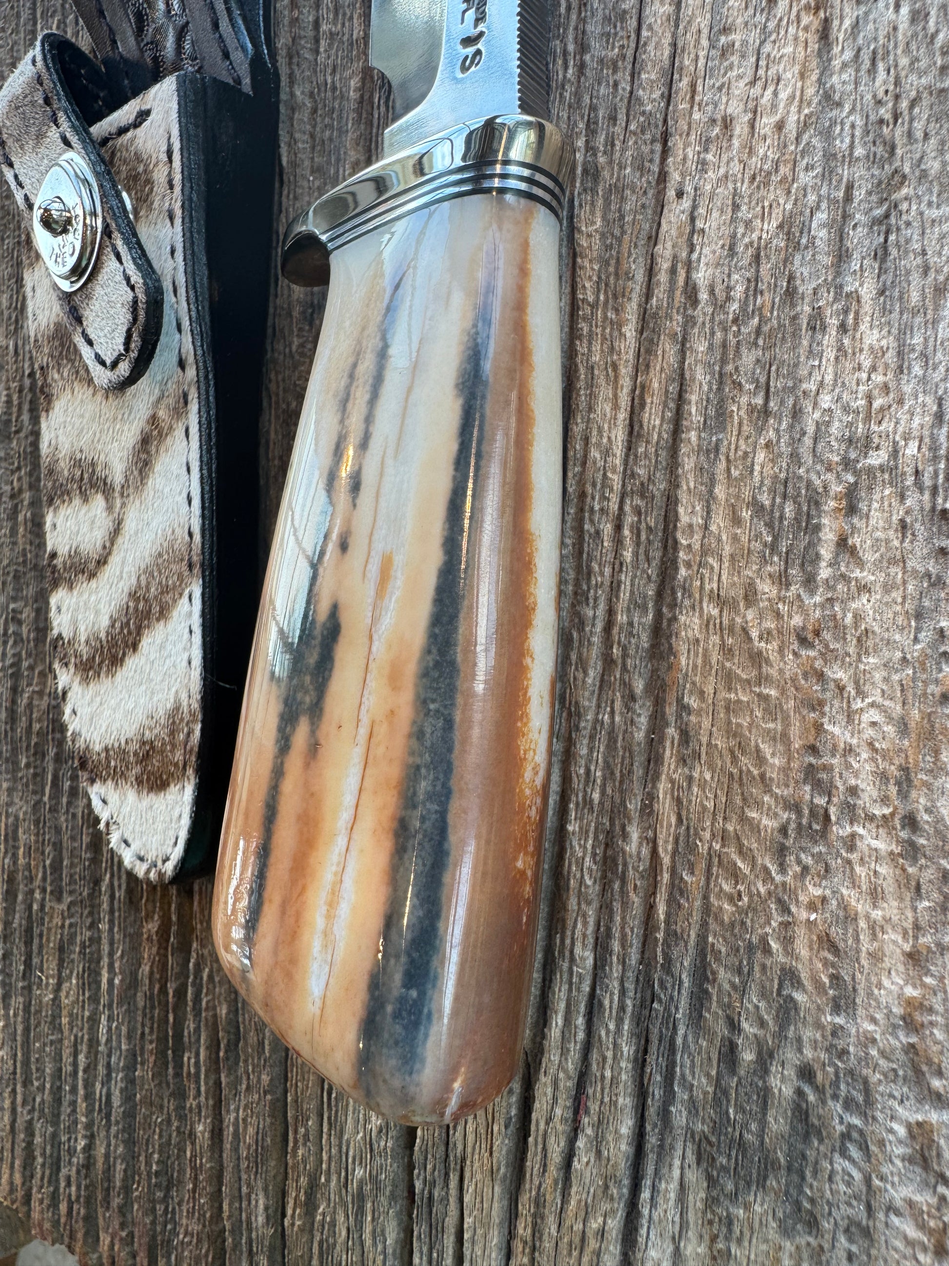 Randall Knife Model 23 Net Weight Artifact Fossil Walrus Handle. Stainless Steel, Natural end. Zebra Sheath.