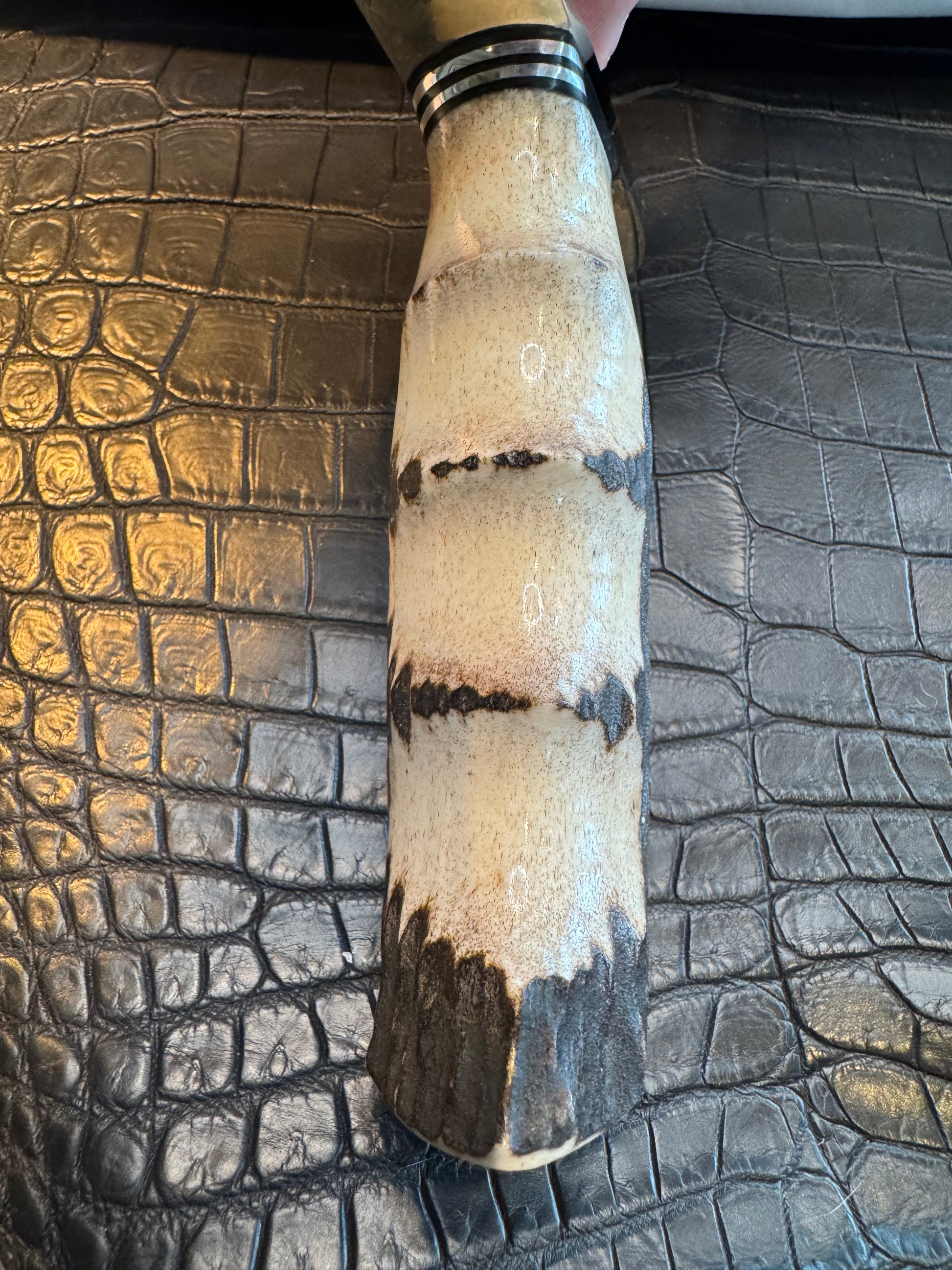 Randall Clinton Special Knife Stag Handle New in Paper