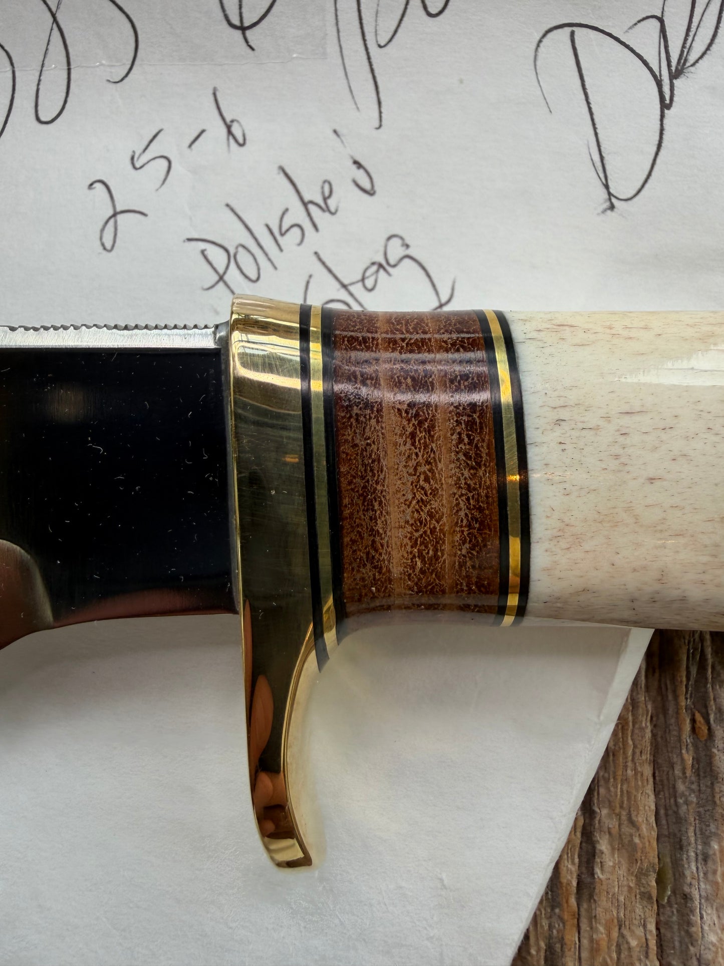 New in paper Randall Knife Model 25-6 Trapper in Polished Stag Leather Handle Stainless Blade, brass Hilt